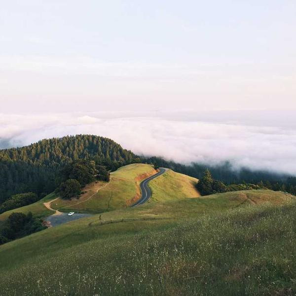 작성자 프로필 이미지