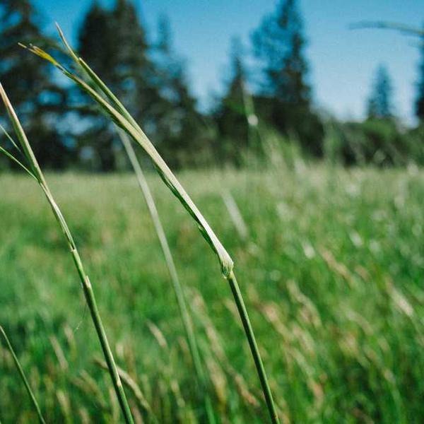 작성자 프로필 이미지