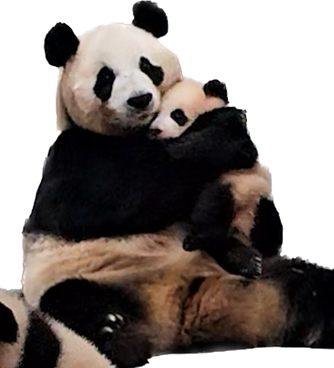 작성자 프로필 이미지