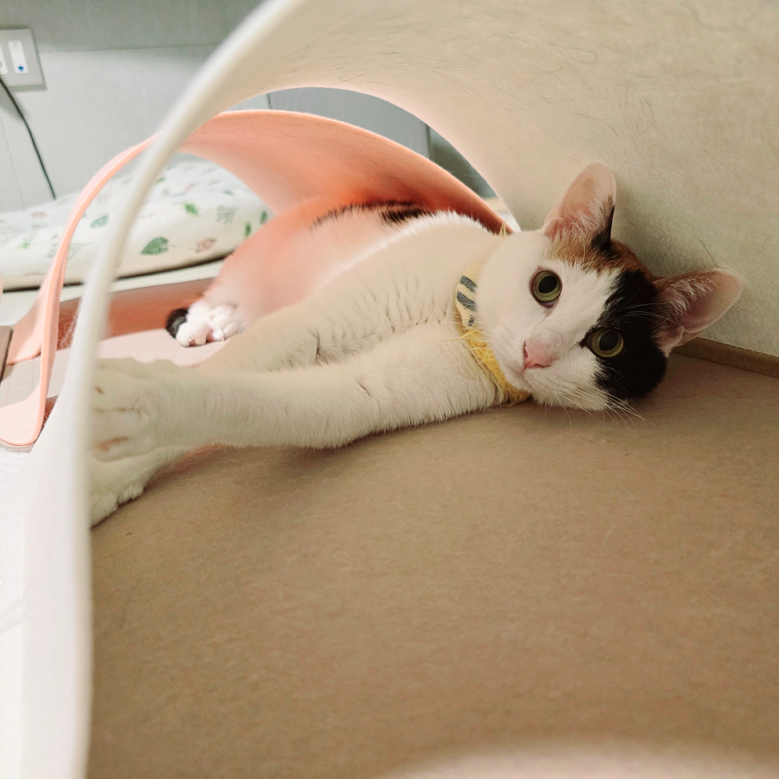 작성자 프로필 이미지