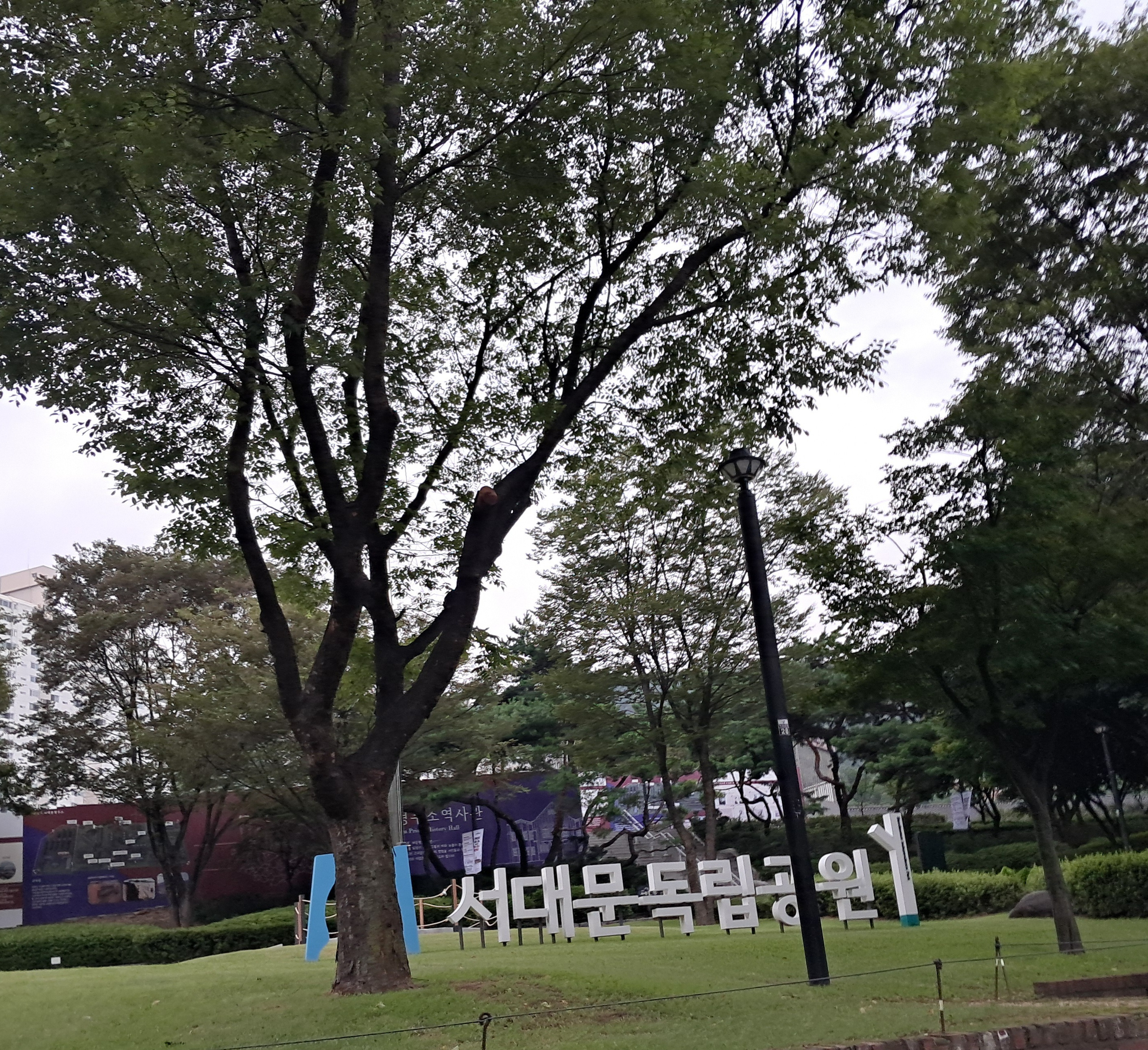 작성자 프로필 이미지