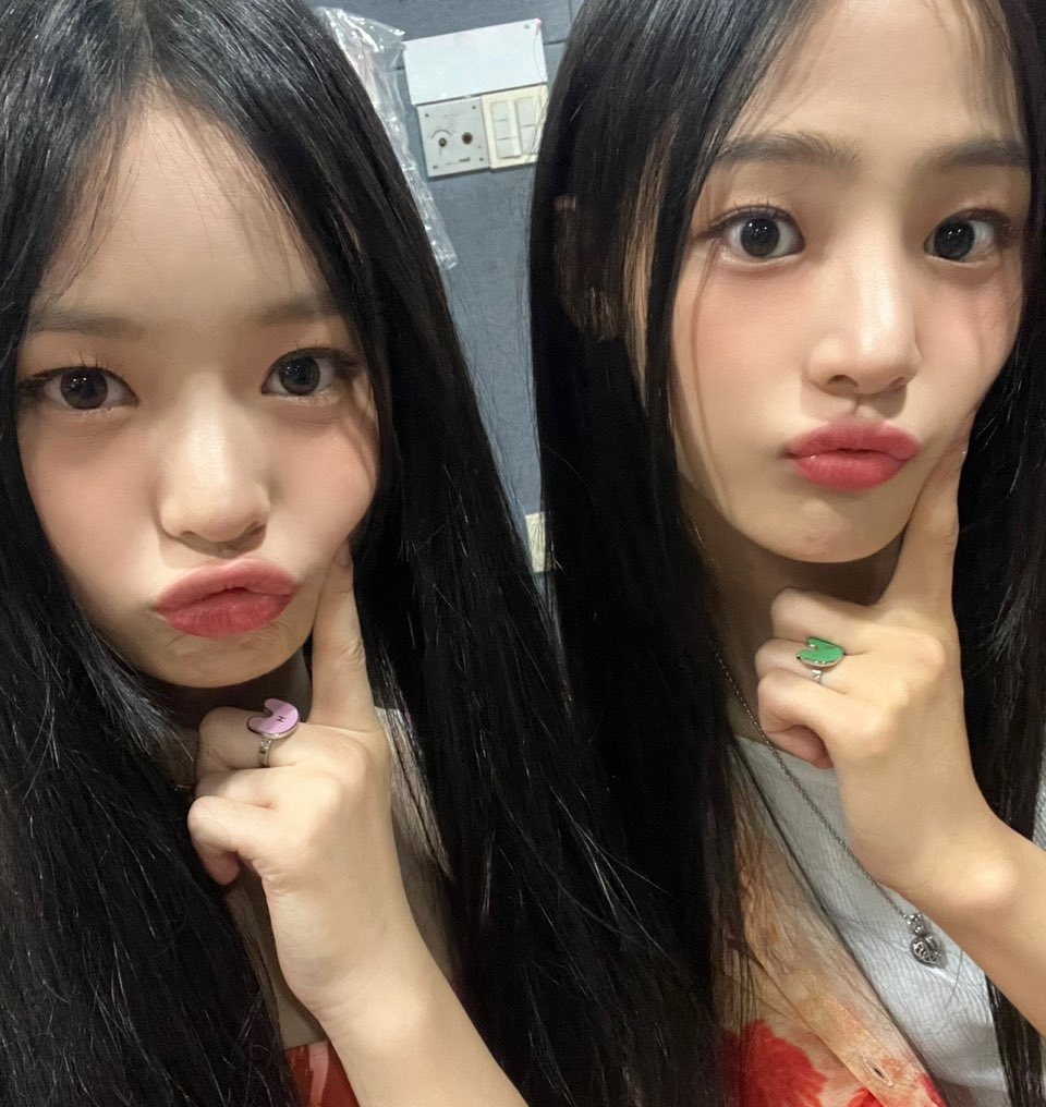 작성자 프로필 이미지