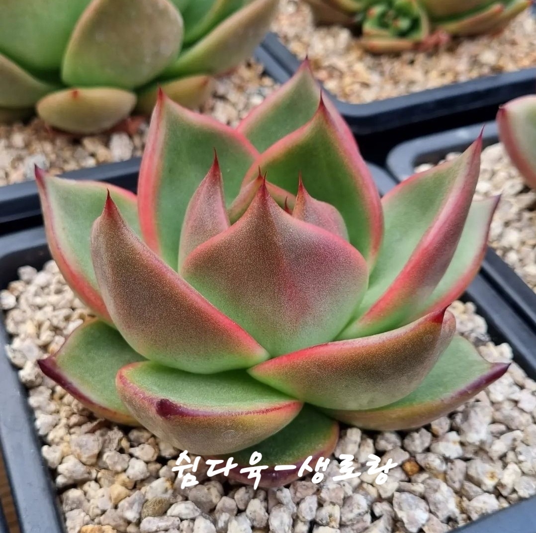 작성자 프로필 이미지