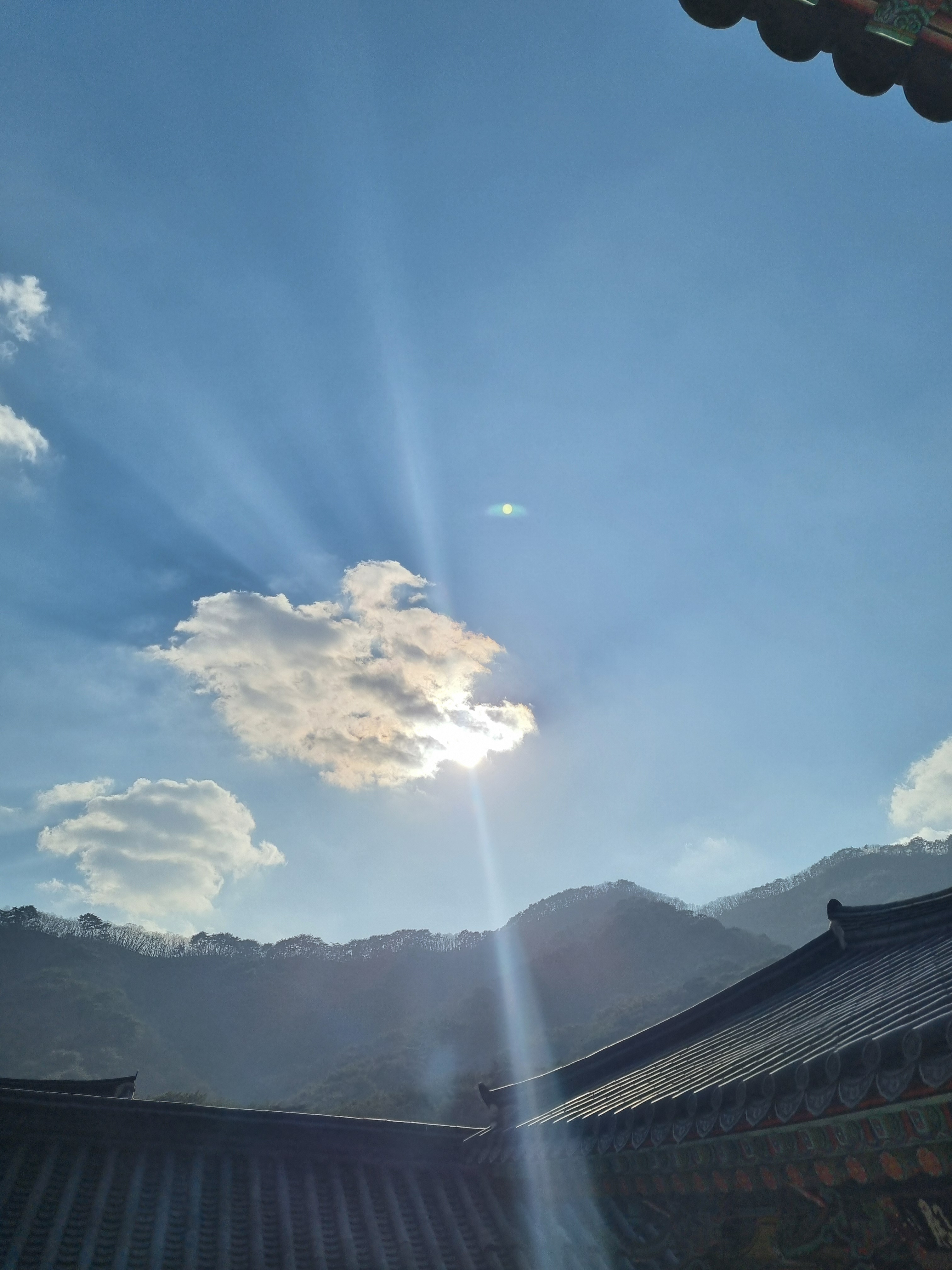 작성자 프로필 이미지