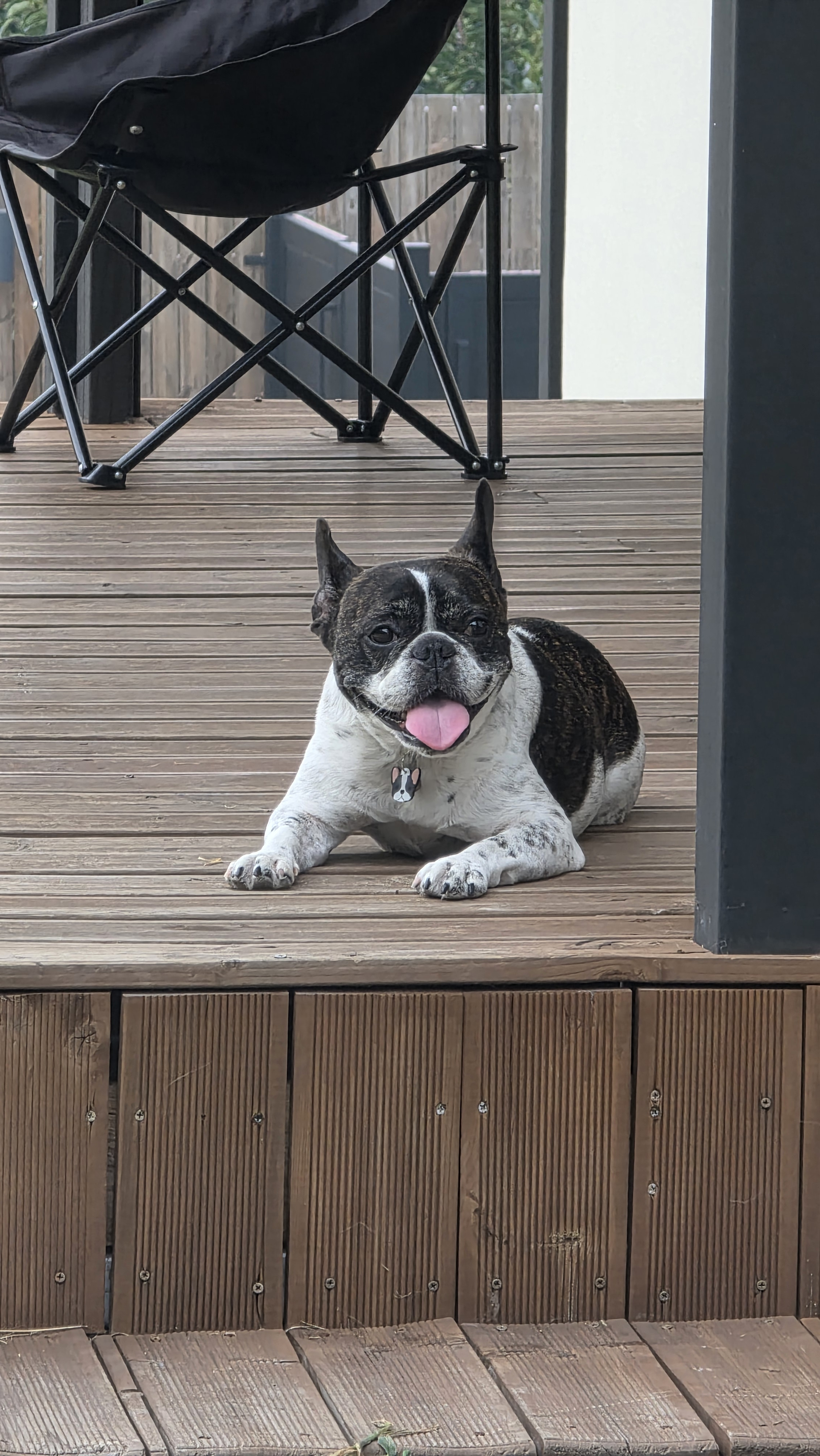 작성자 프로필 이미지