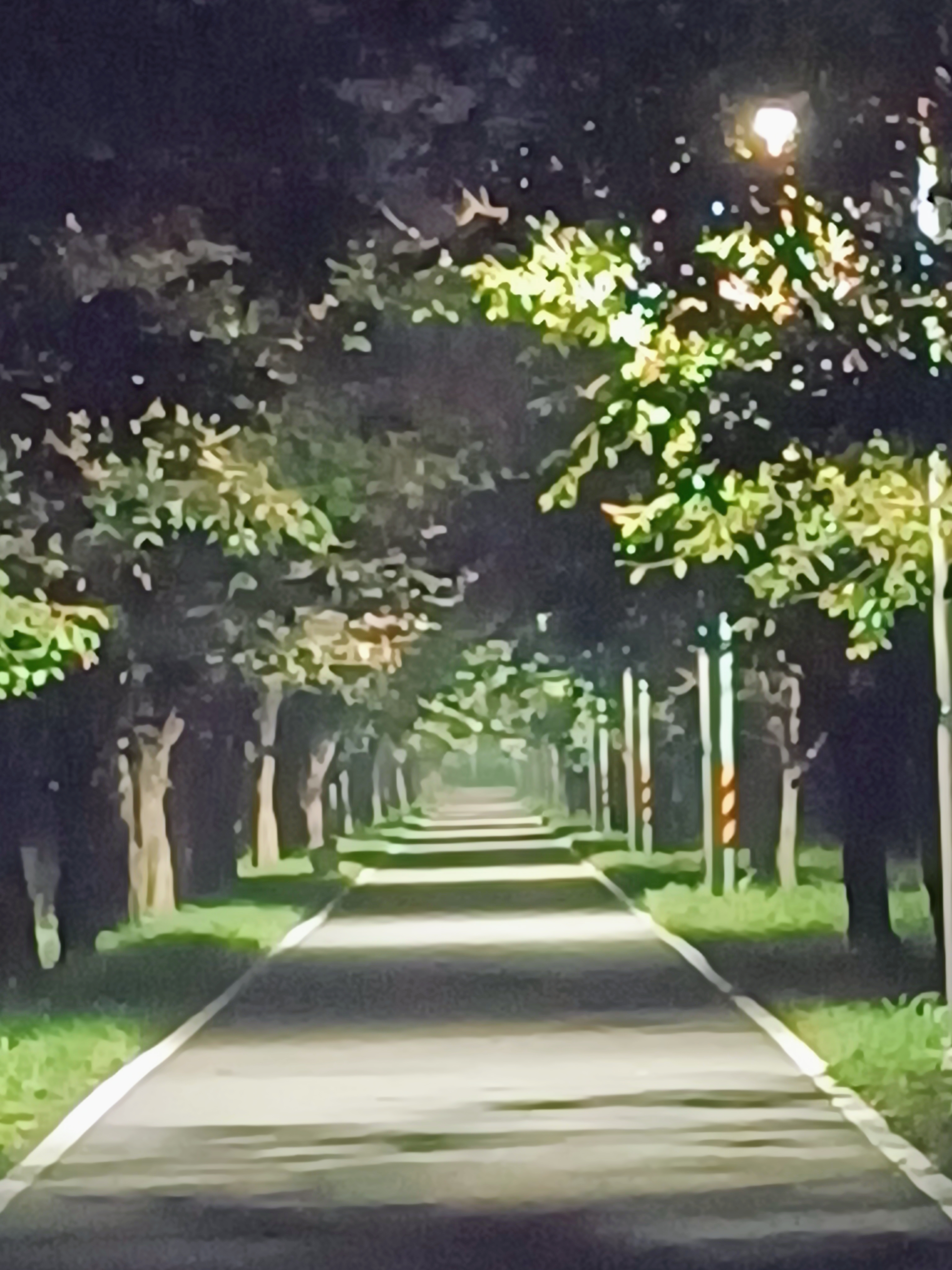 작성자 프로필 이미지