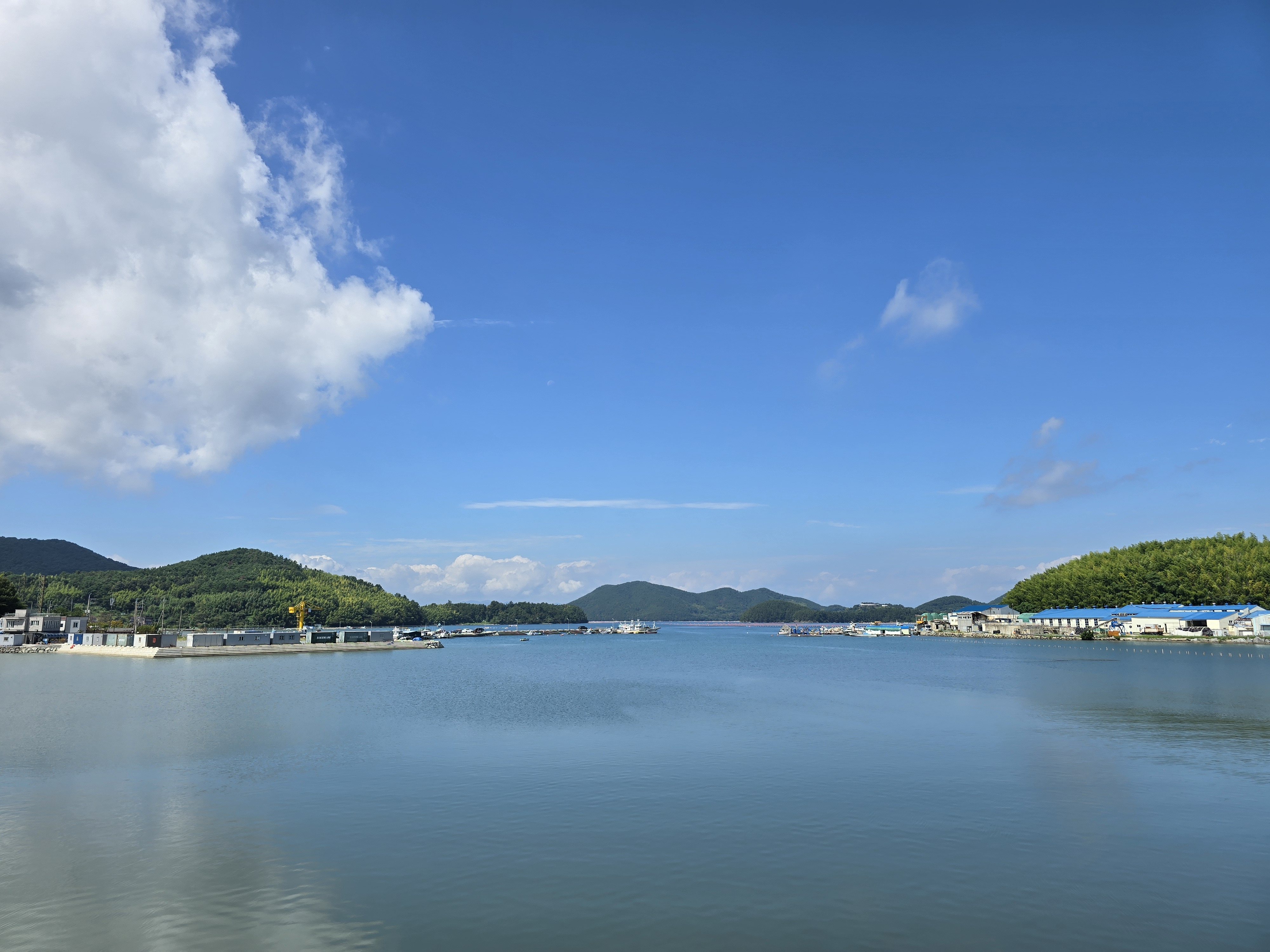 작성자 프로필 이미지