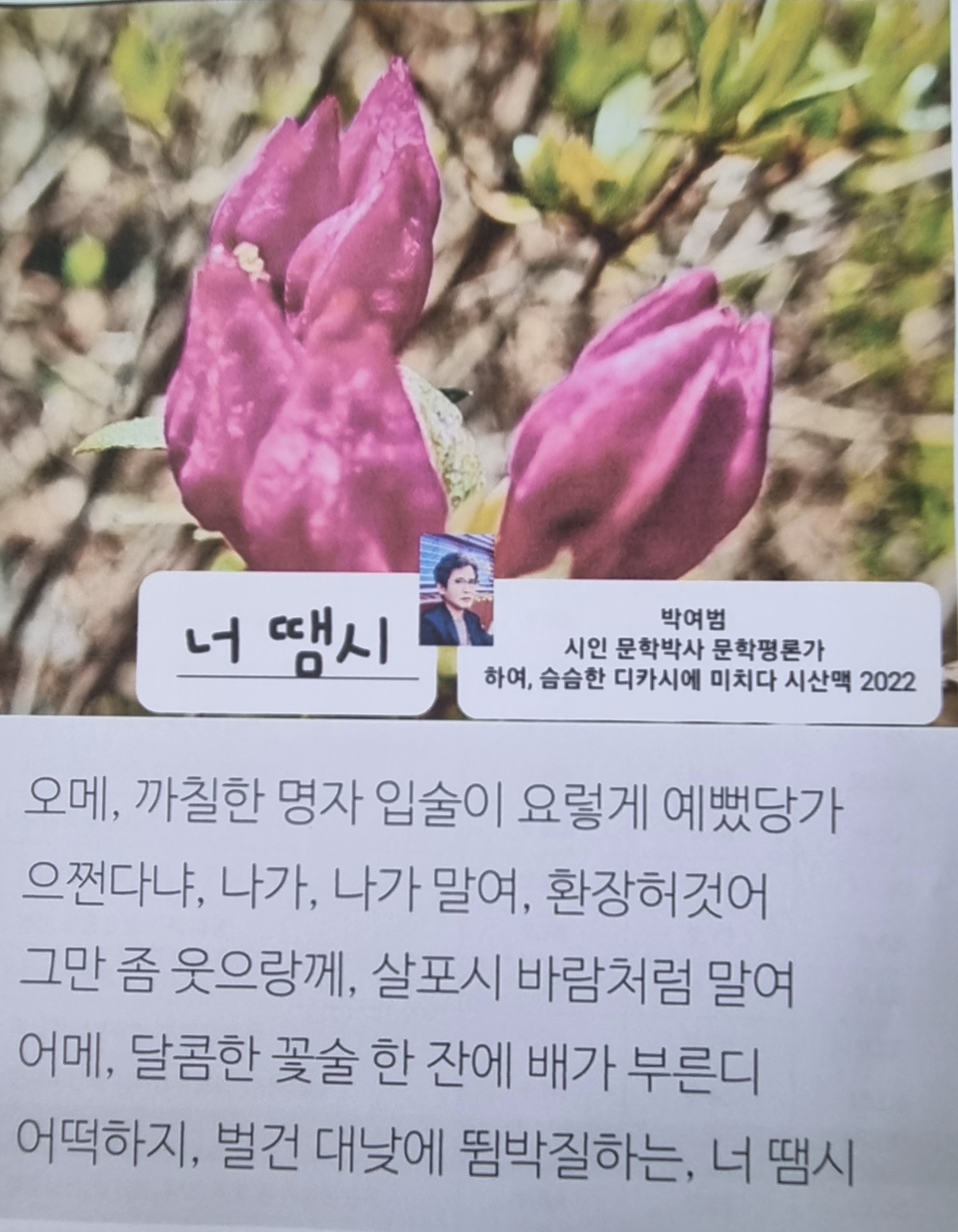 작성자 프로필 이미지