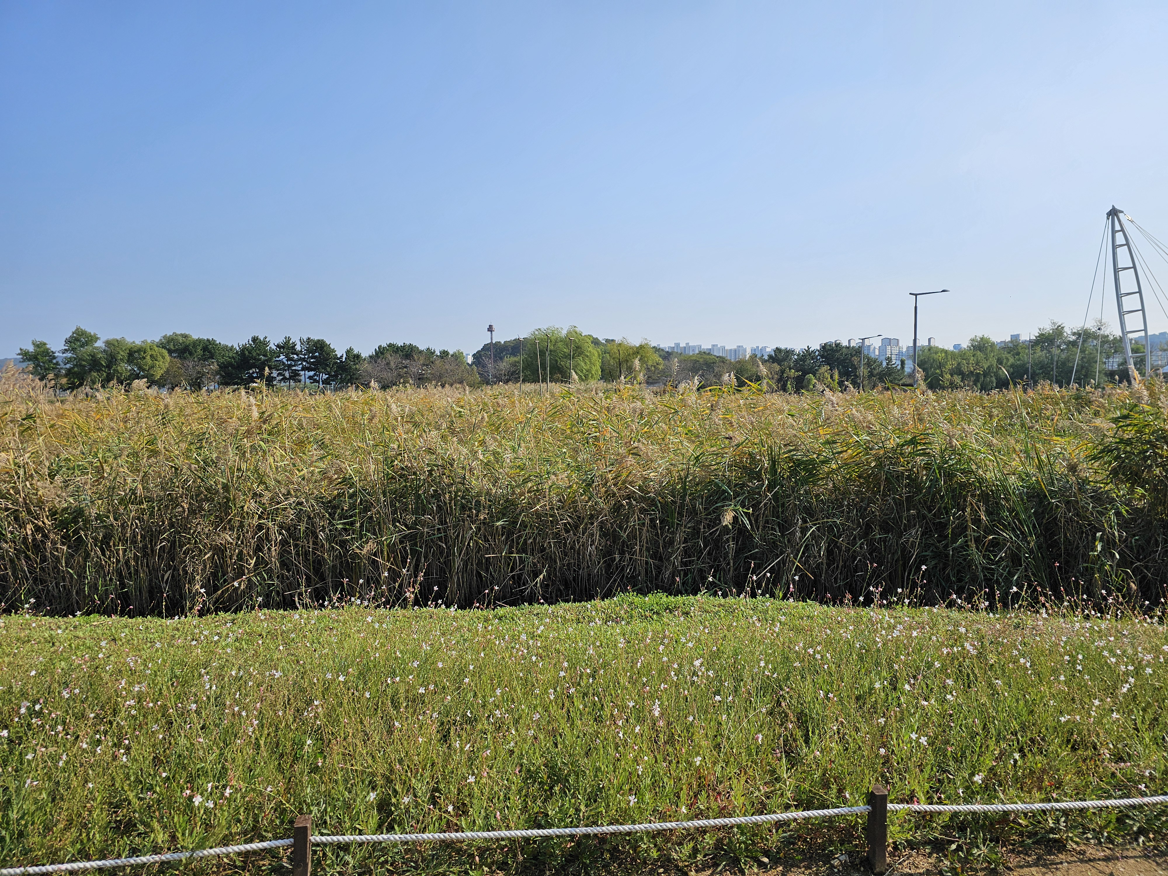 작성자 프로필 이미지