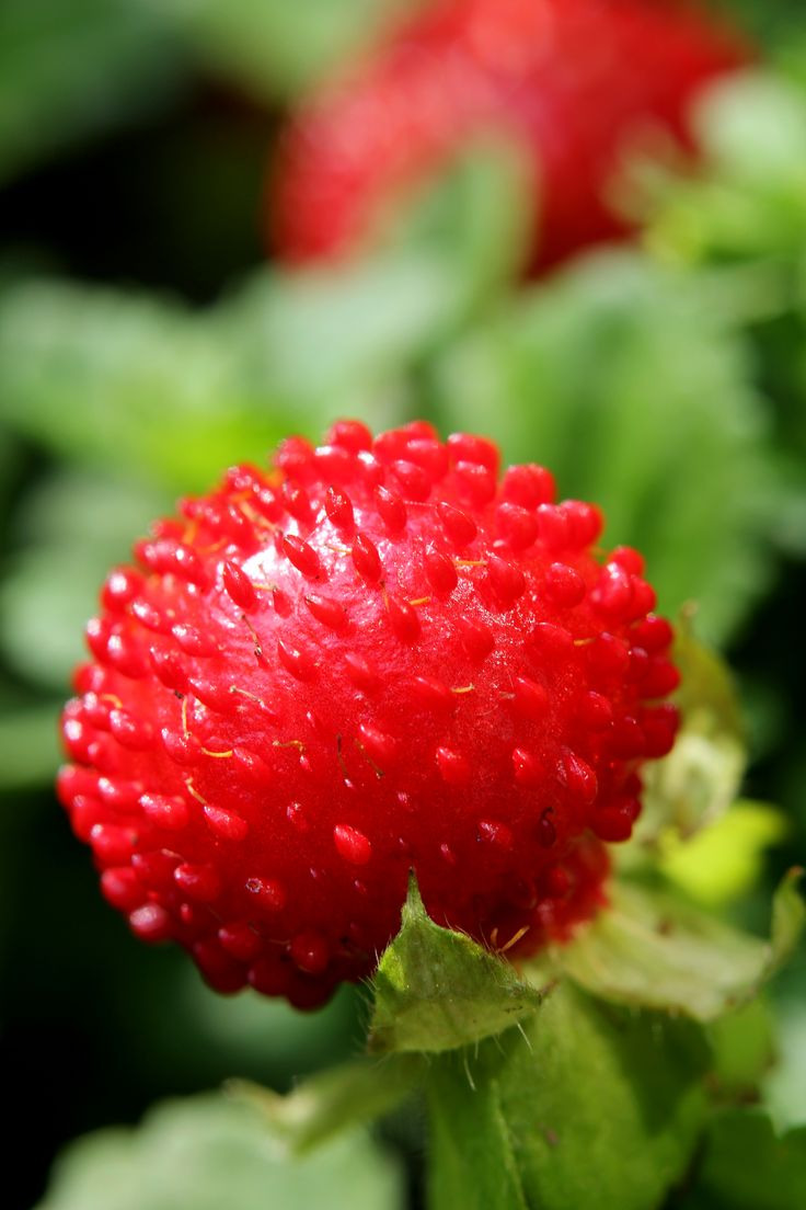 작성자 프로필 이미지