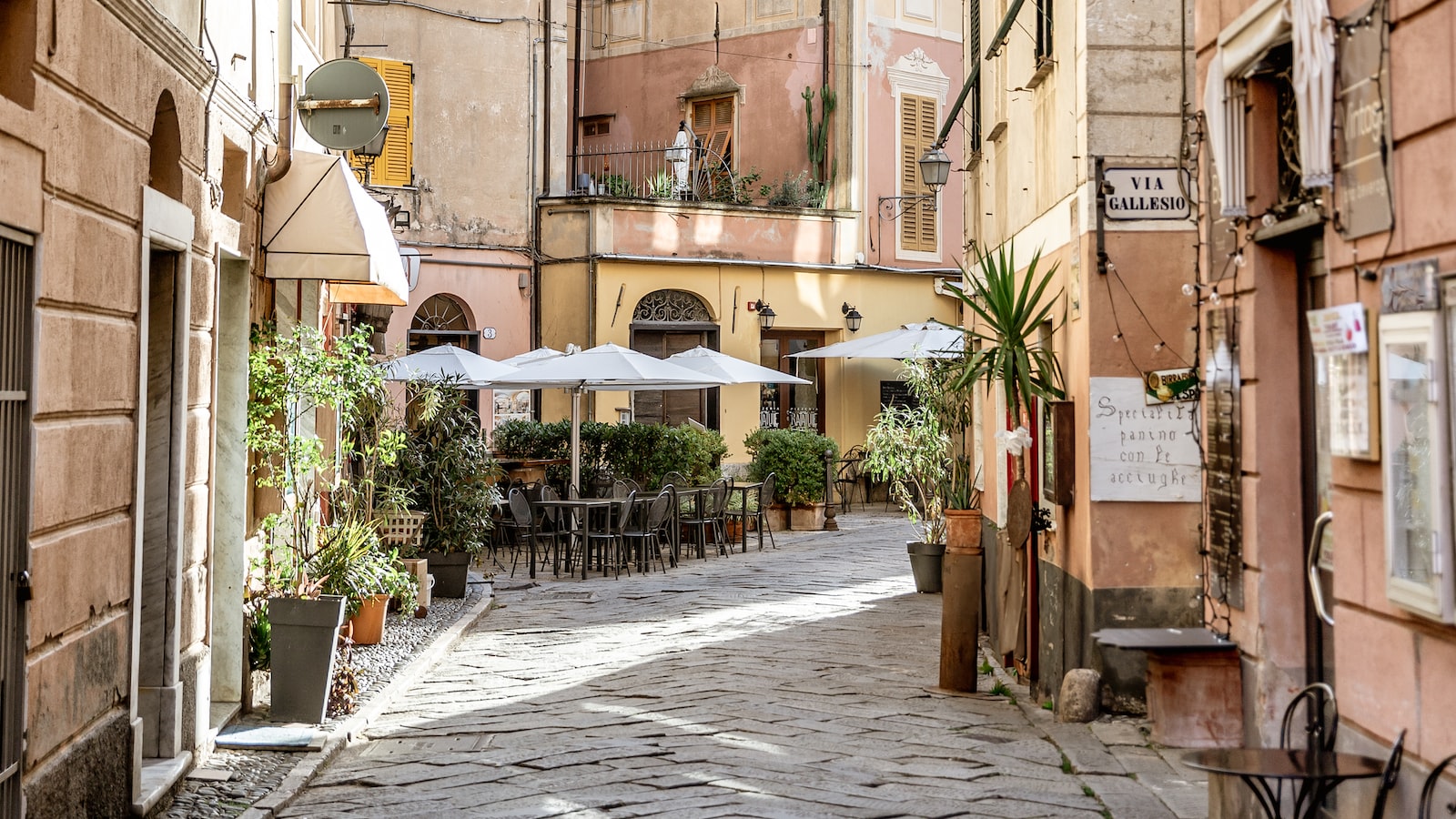 작성자 프로필 이미지