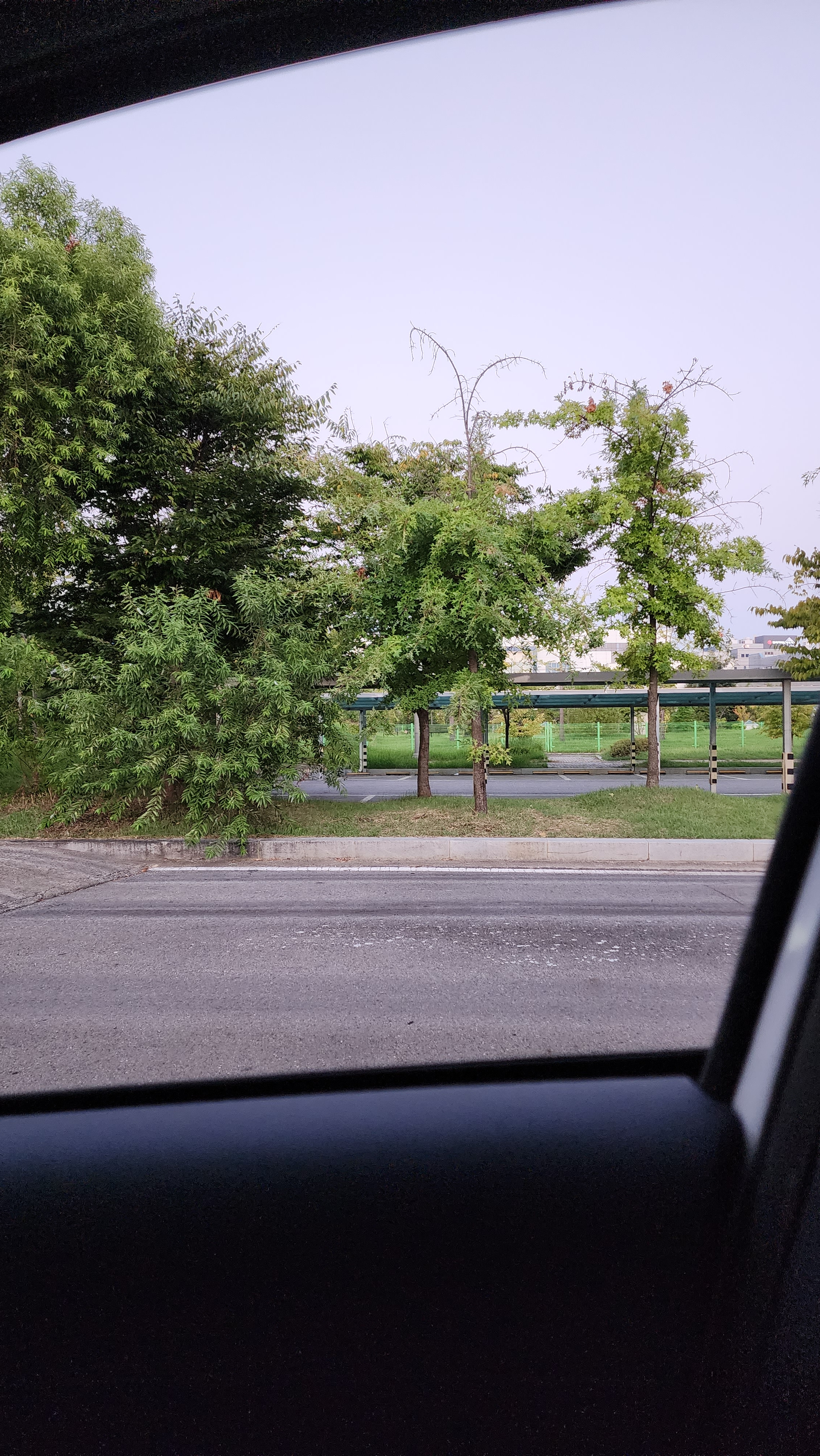 작성자 프로필 이미지