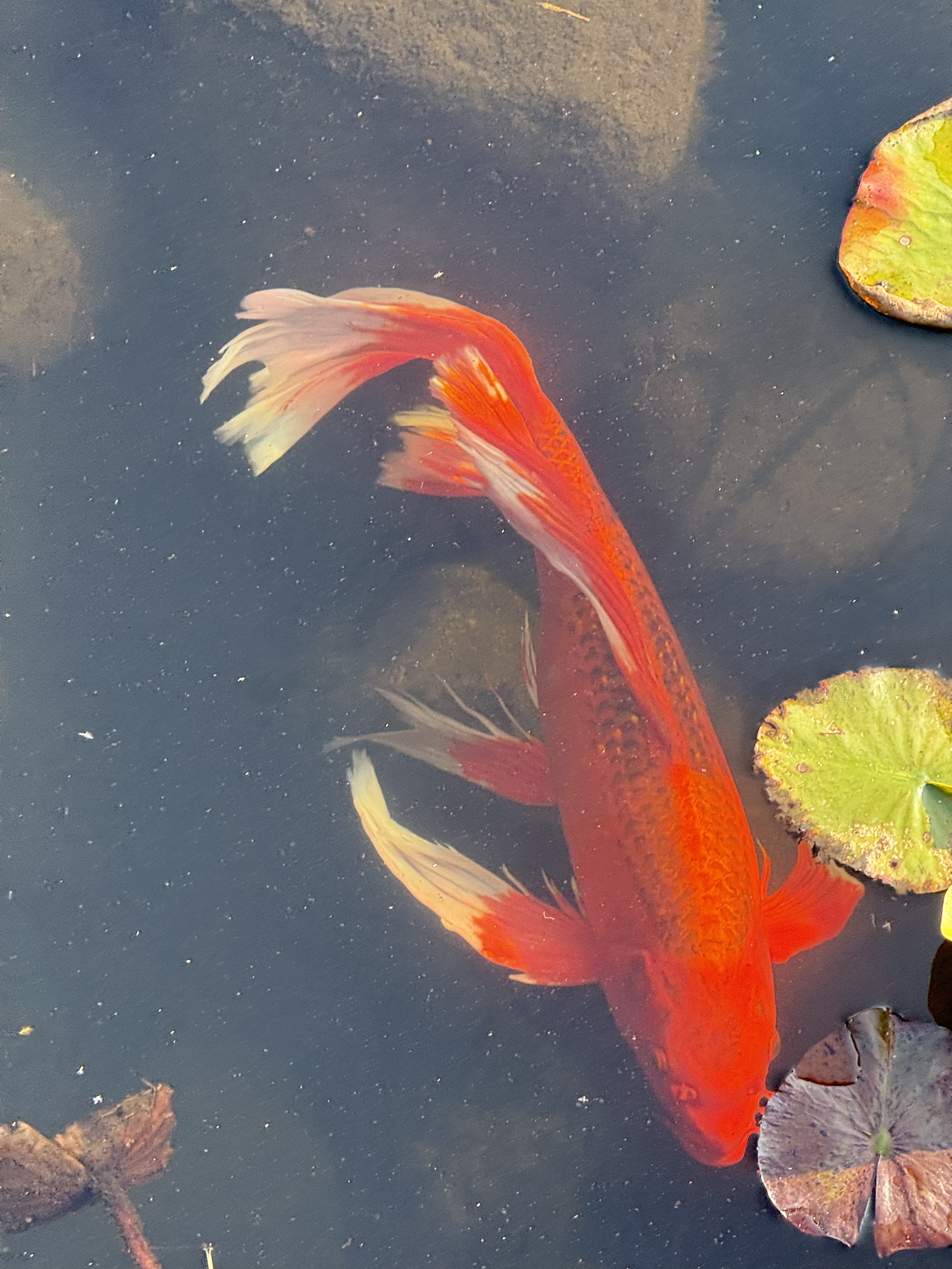 작성자 프로필 이미지