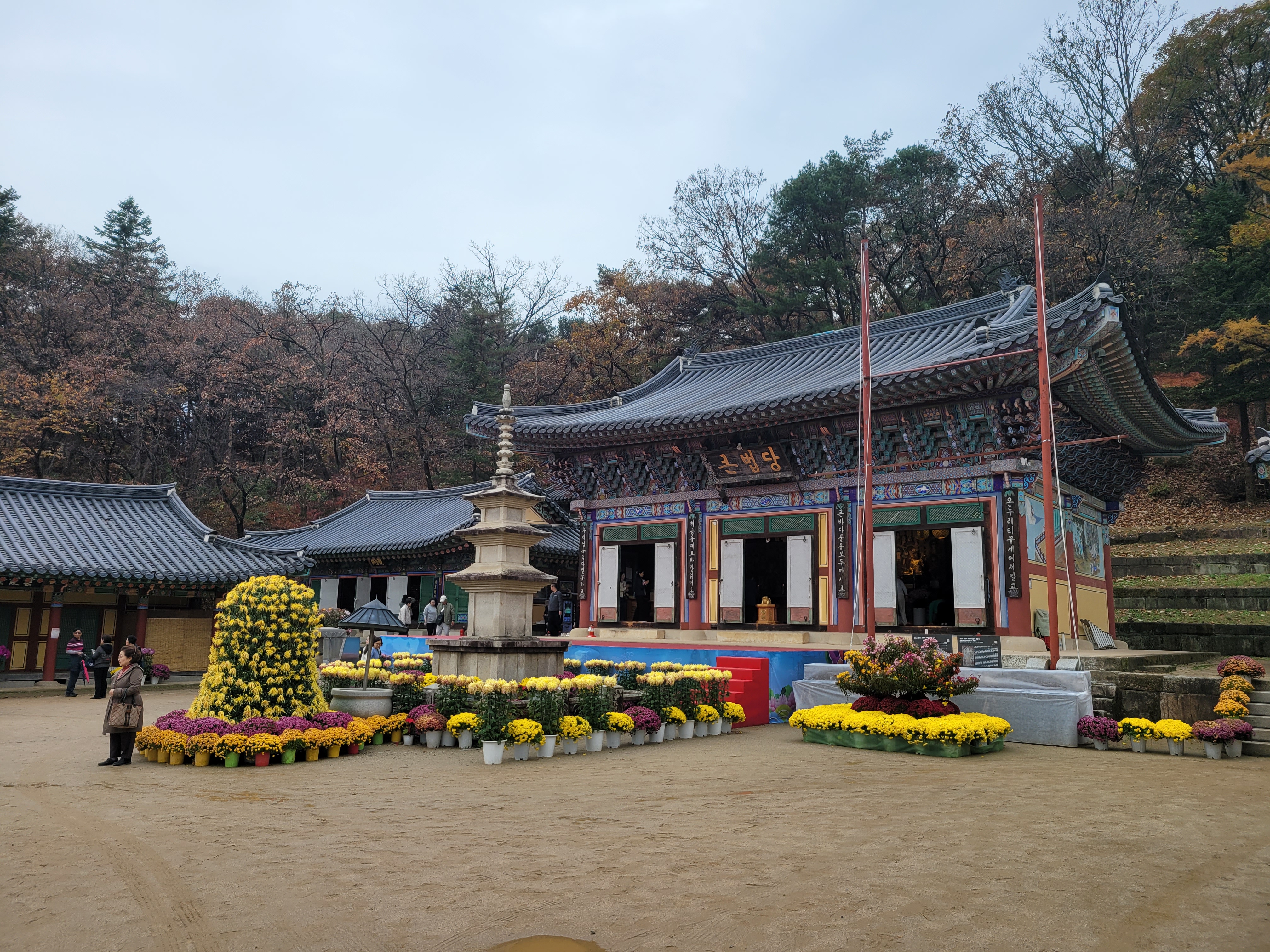 작성자 프로필 이미지