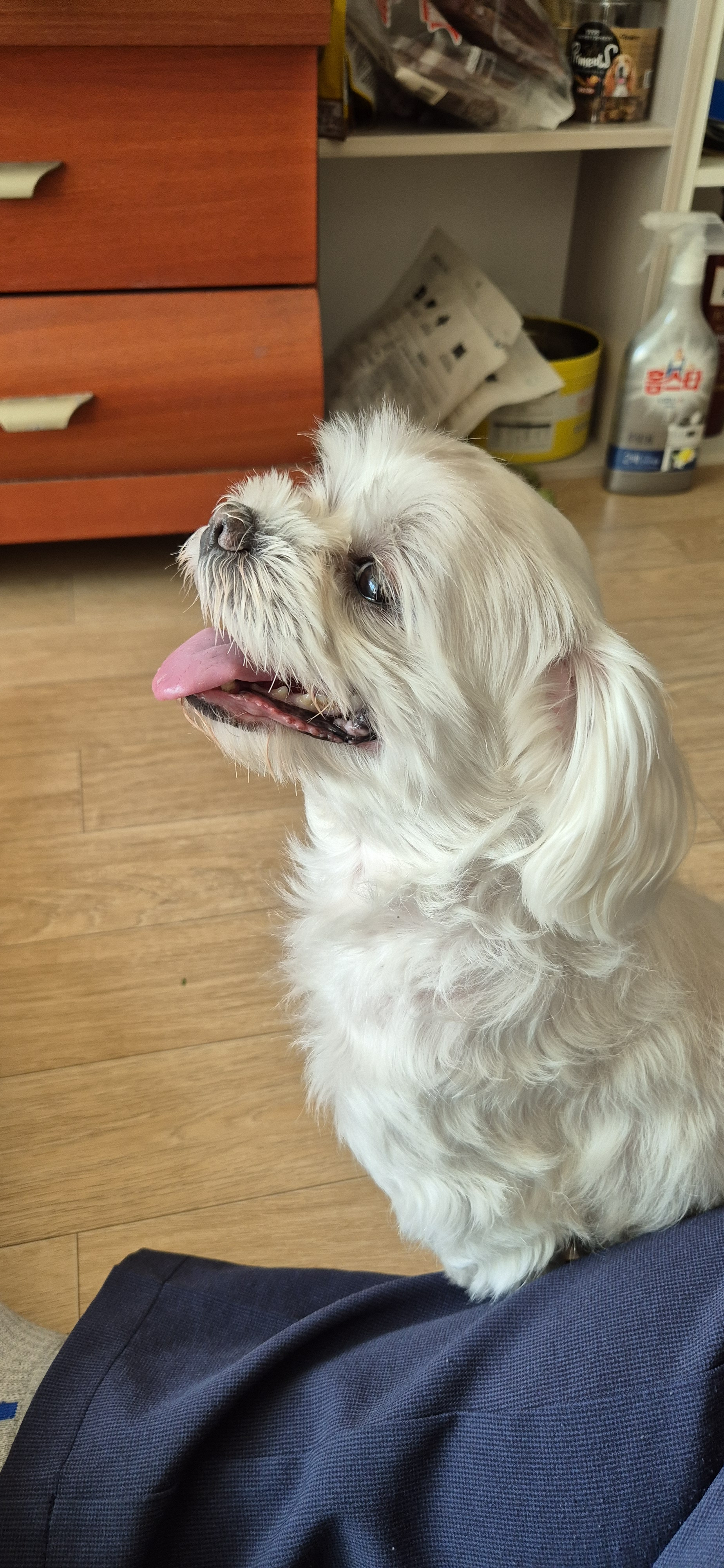 작성자 프로필 이미지