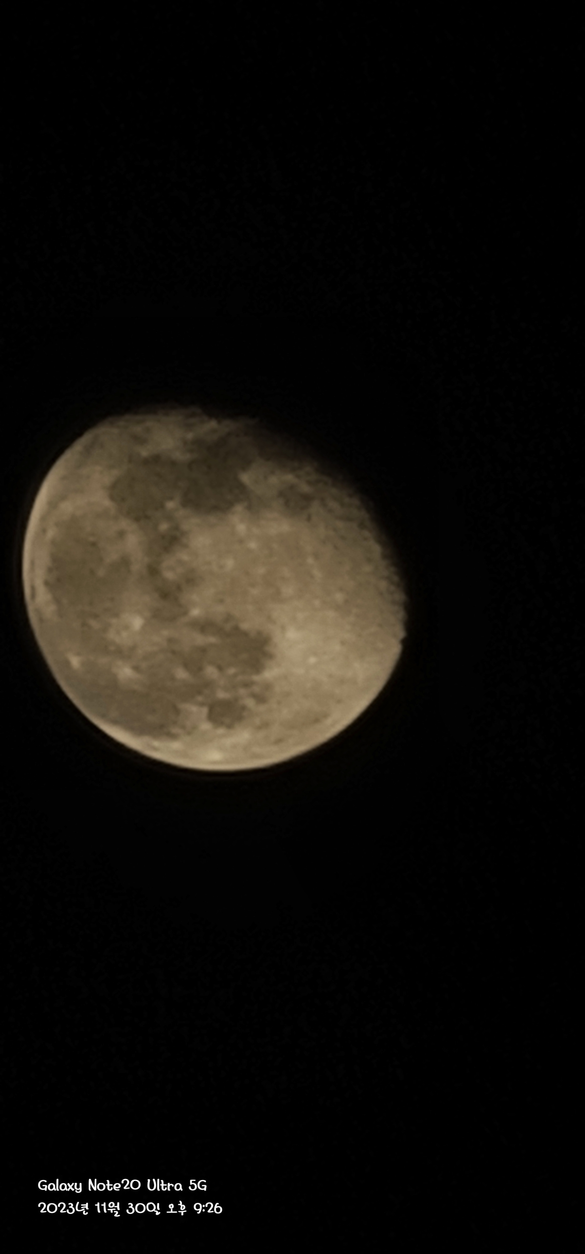 작성자 프로필 이미지