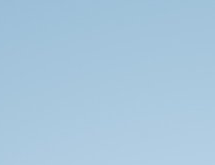 작성자 프로필 이미지