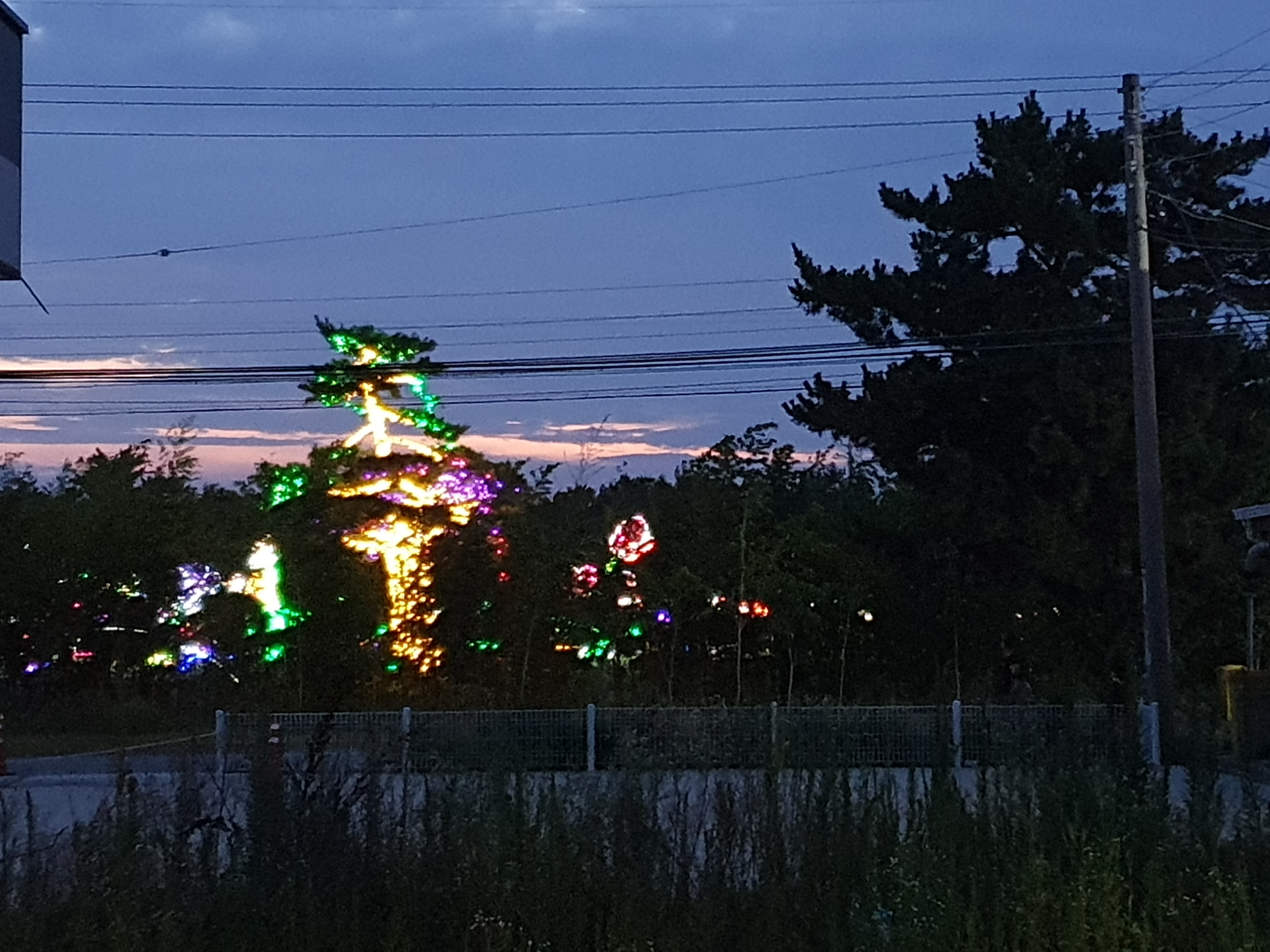 작성자 프로필 이미지