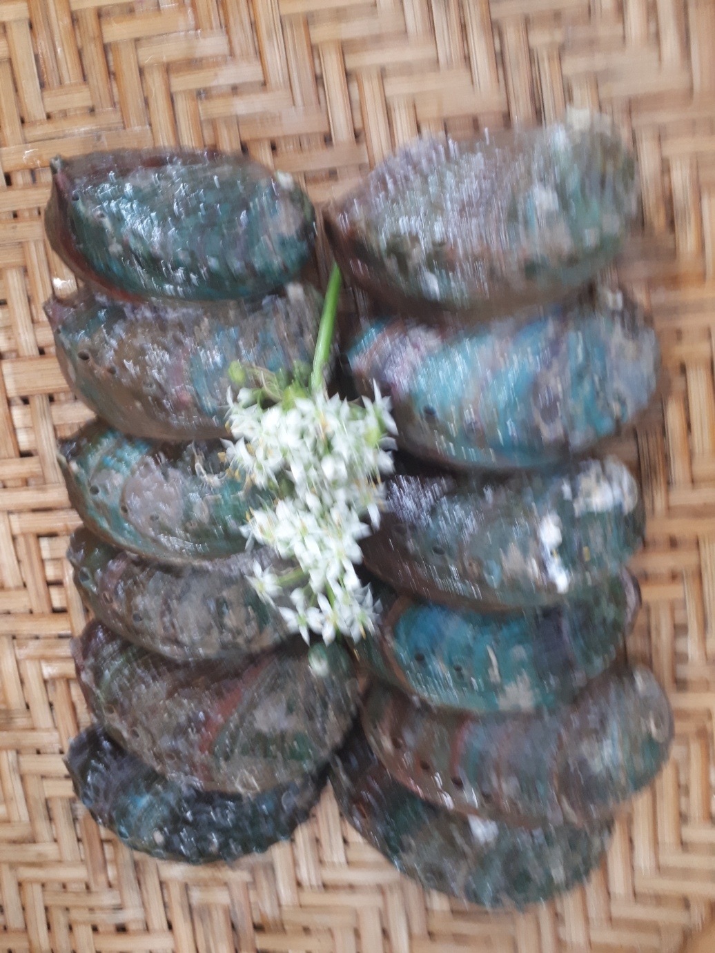 작성자 프로필 이미지