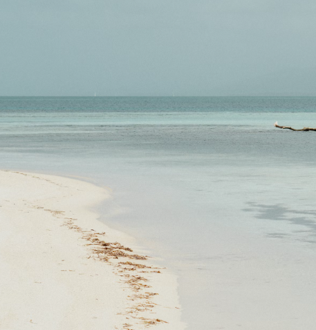 작성자 프로필 이미지