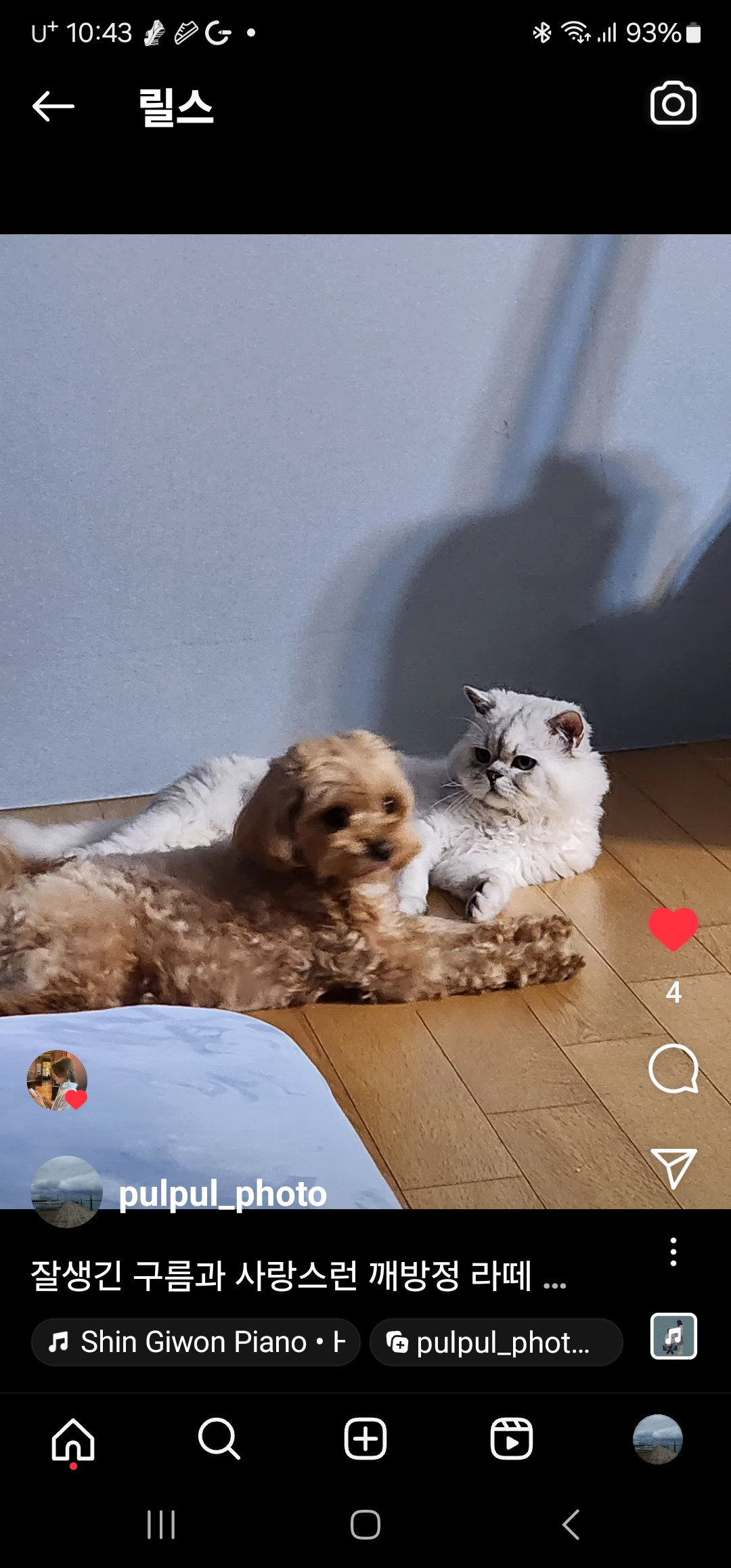 Lattee 프로필 이미지