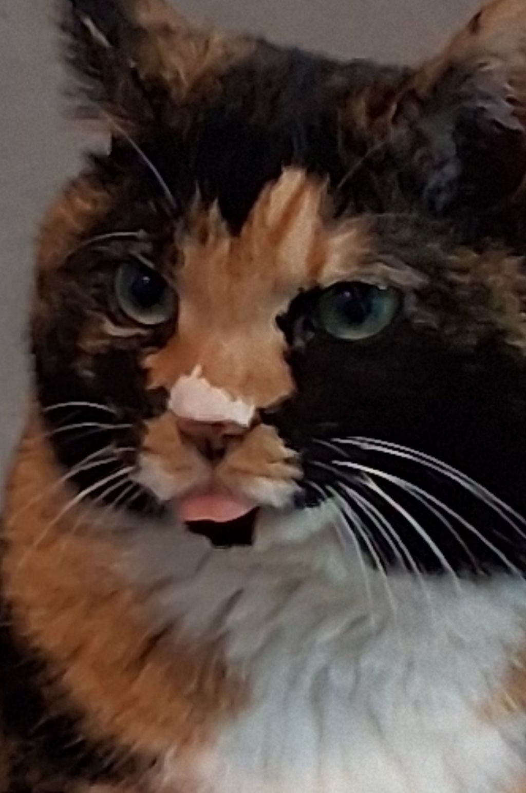 작성자 프로필 이미지