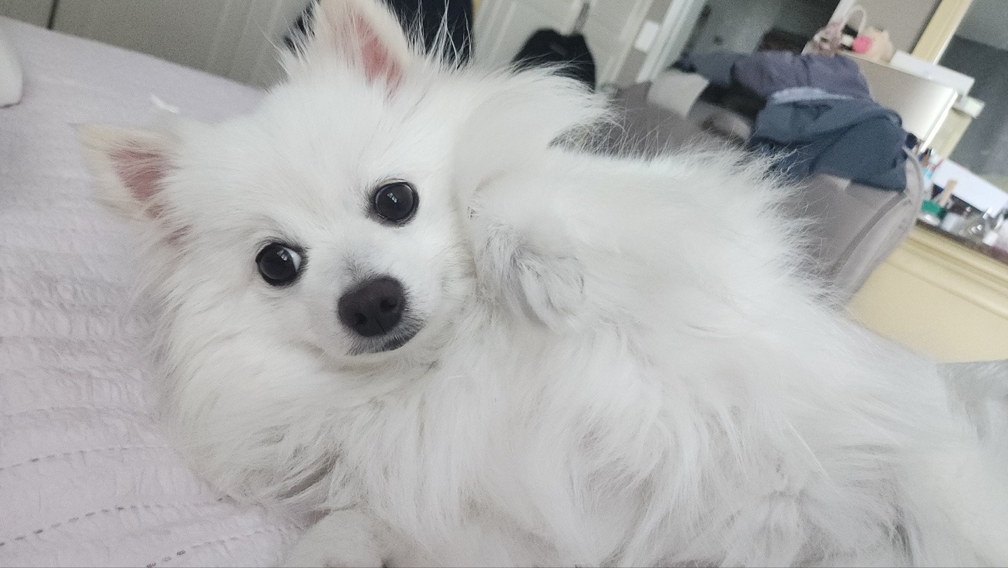 작성자 프로필 이미지