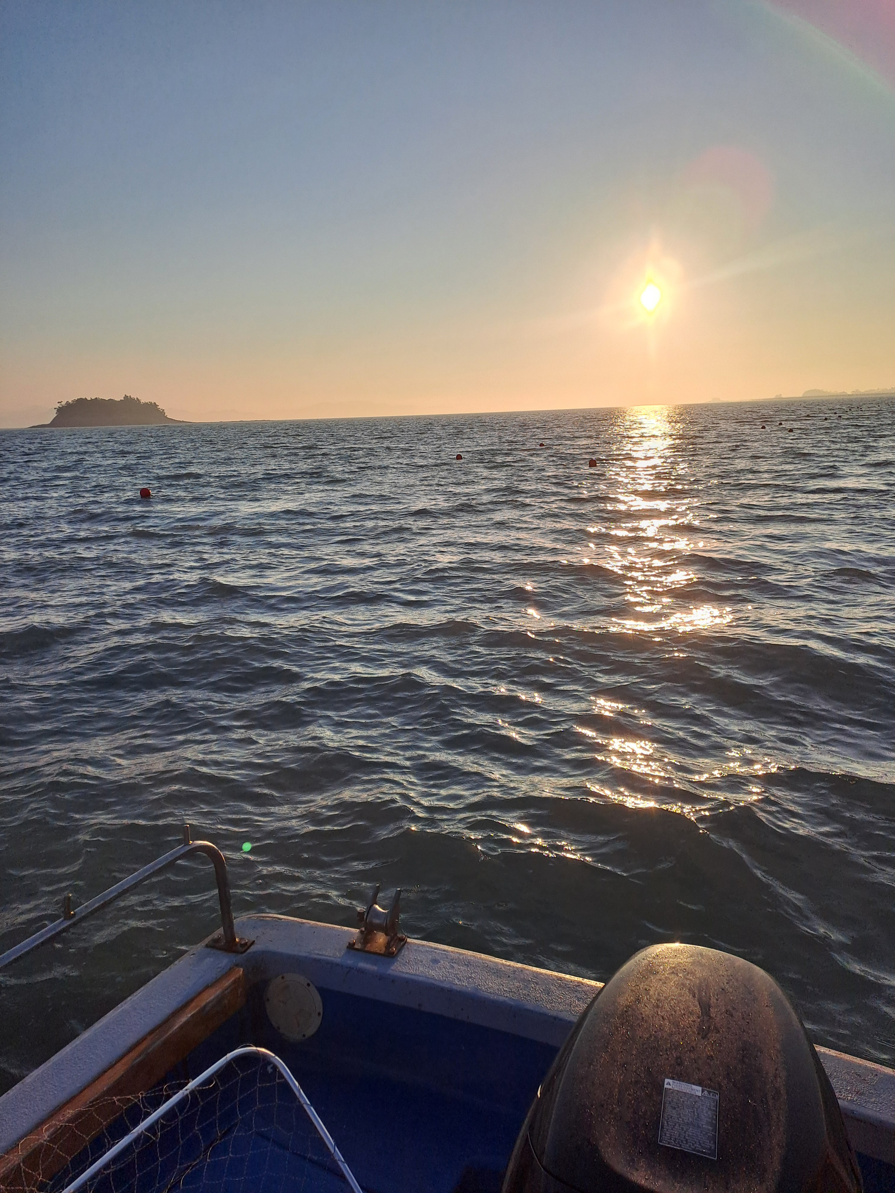 작성자 프로필 이미지