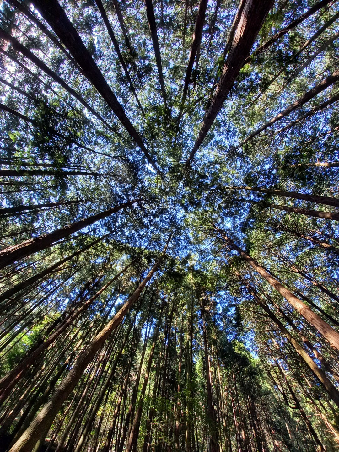 작성자 프로필 이미지