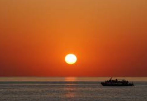 작성자 프로필 이미지