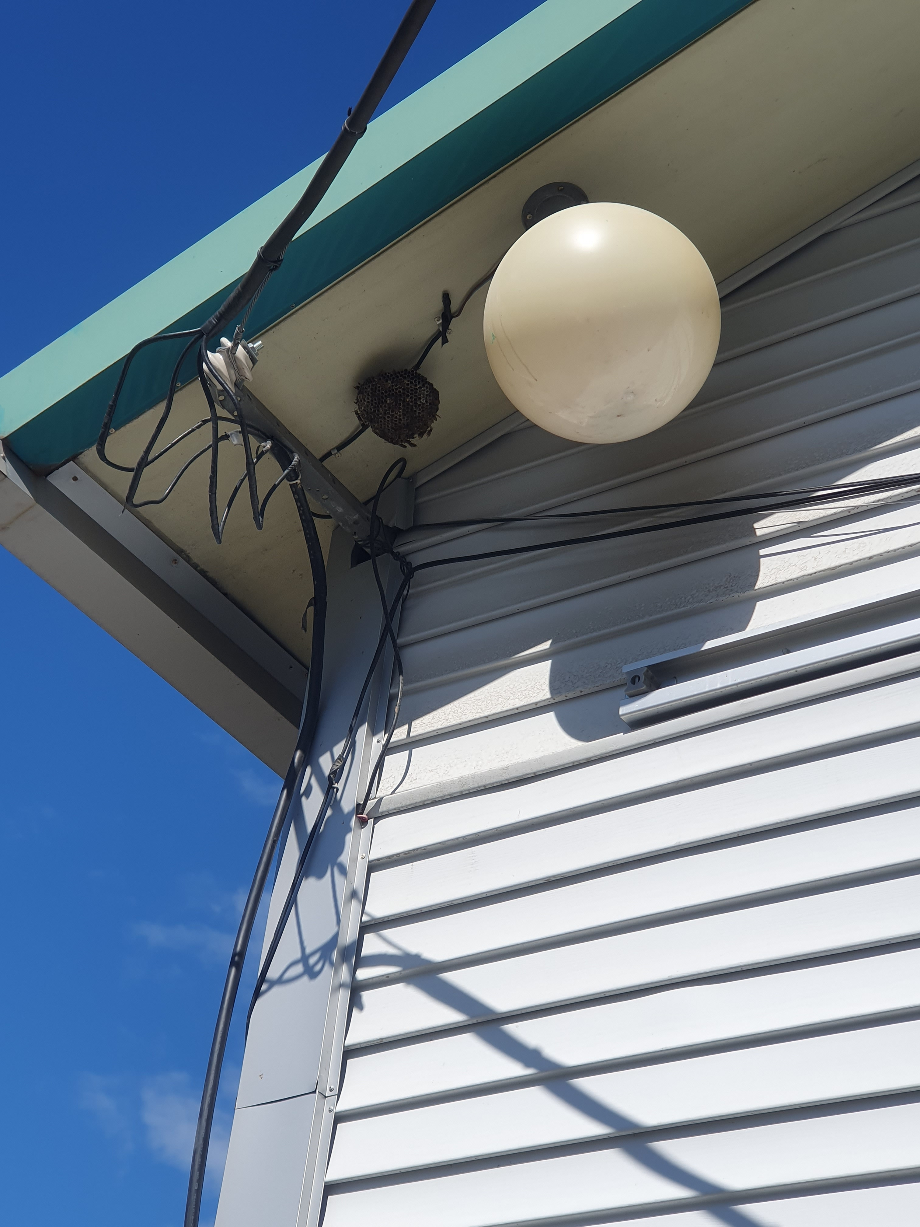 작성자 프로필 이미지