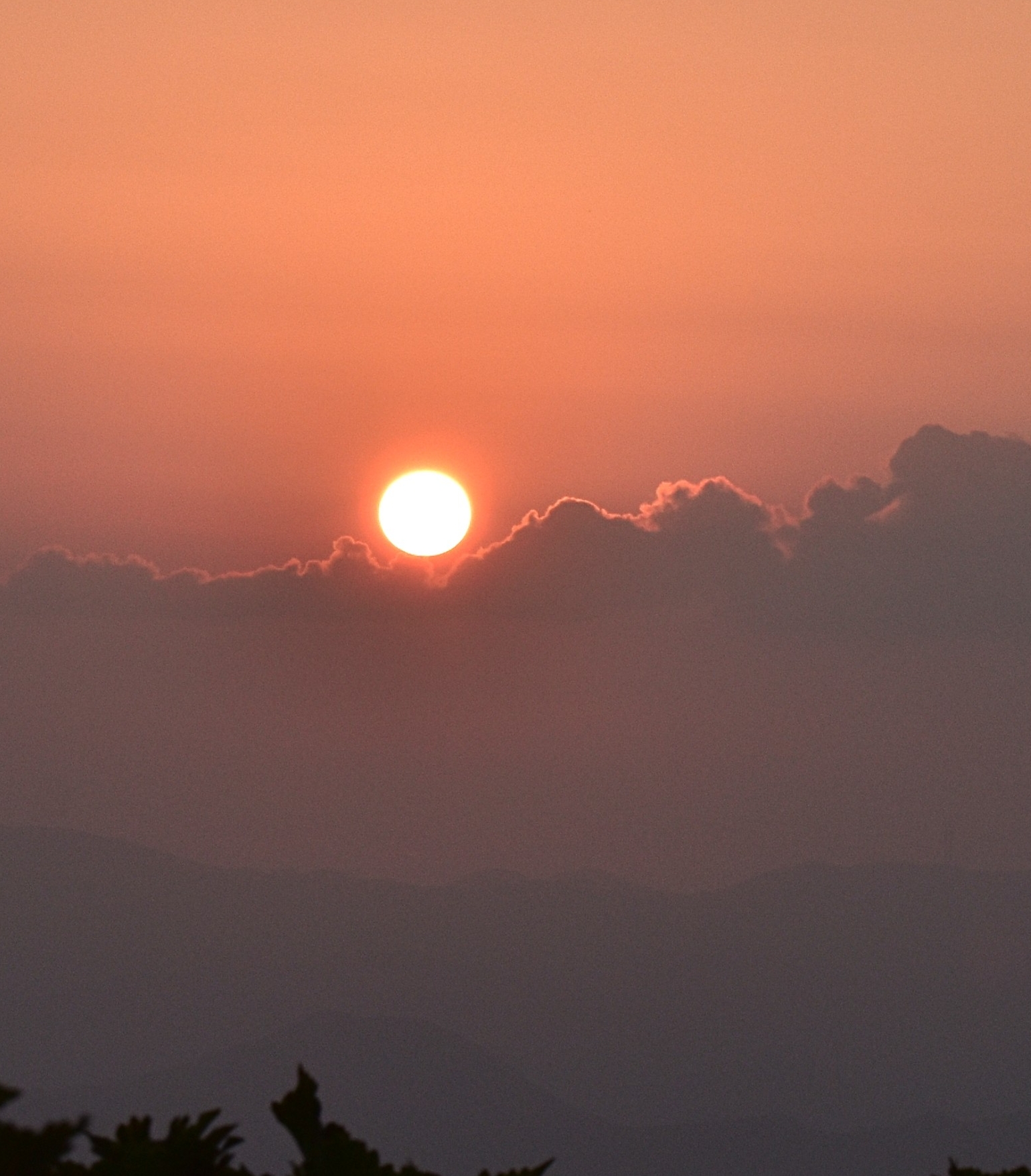 작성자 프로필 이미지