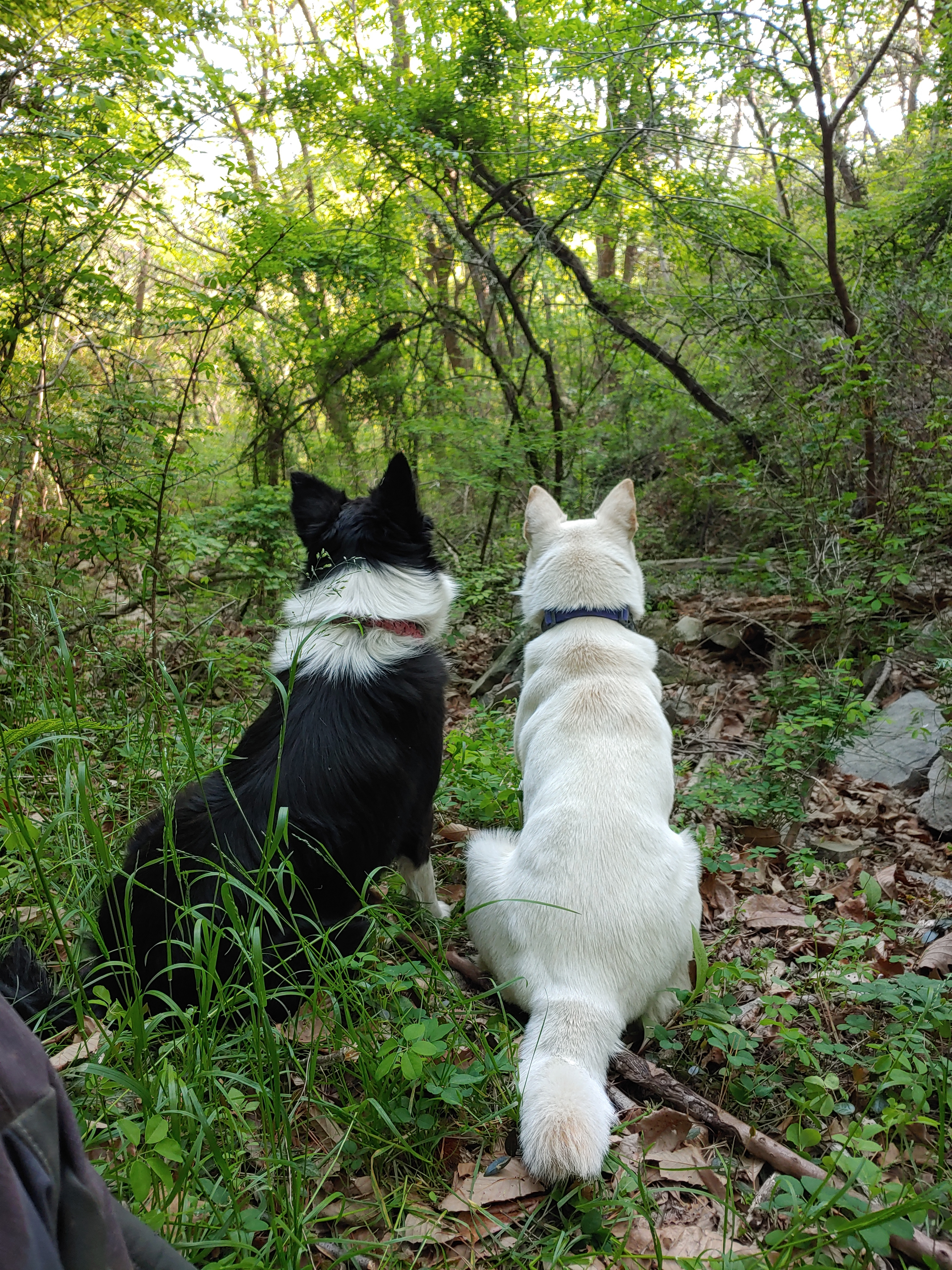 작성자 프로필 이미지