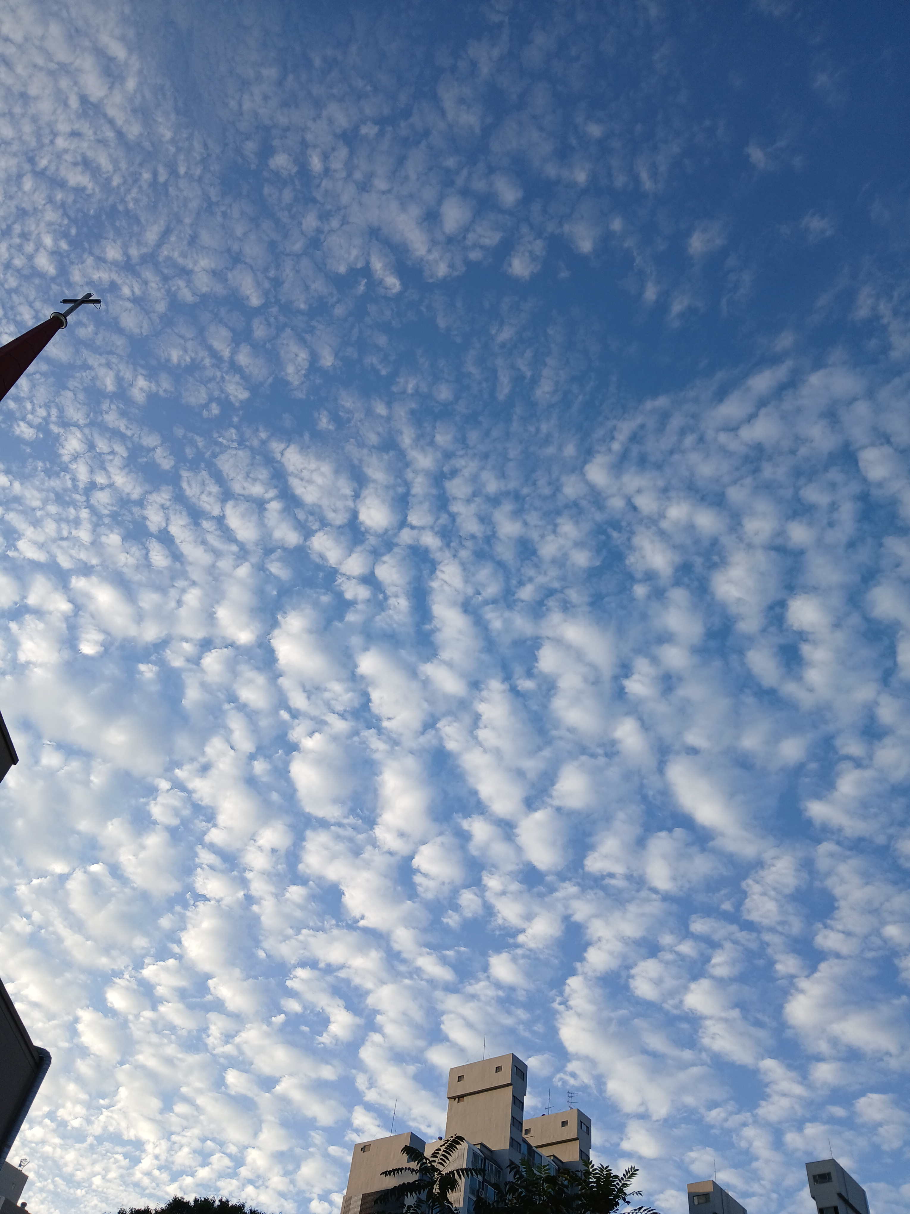 작성자 프로필 이미지