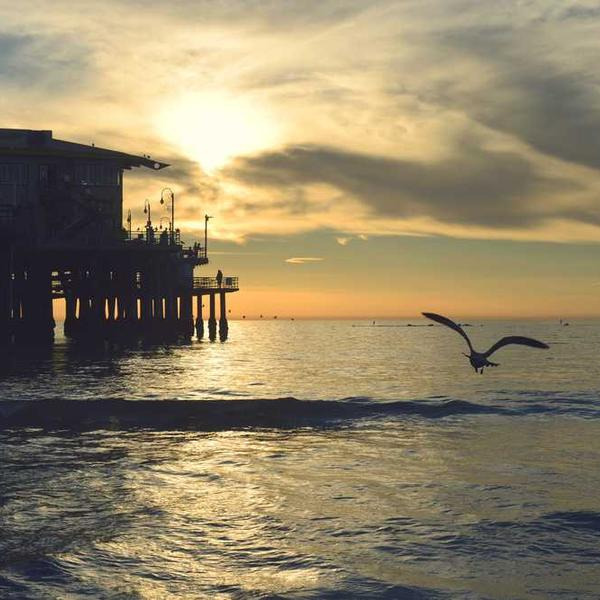 작성자 프로필 이미지