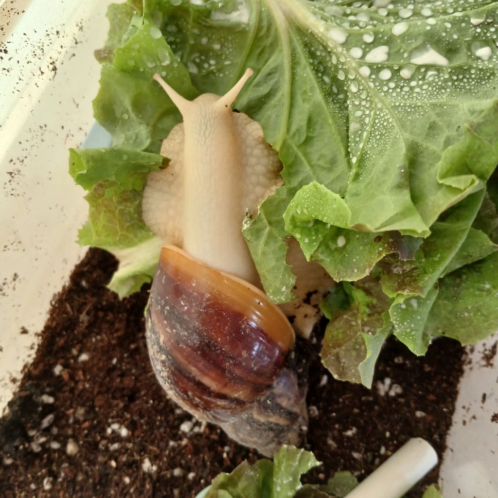 작성자 프로필 이미지