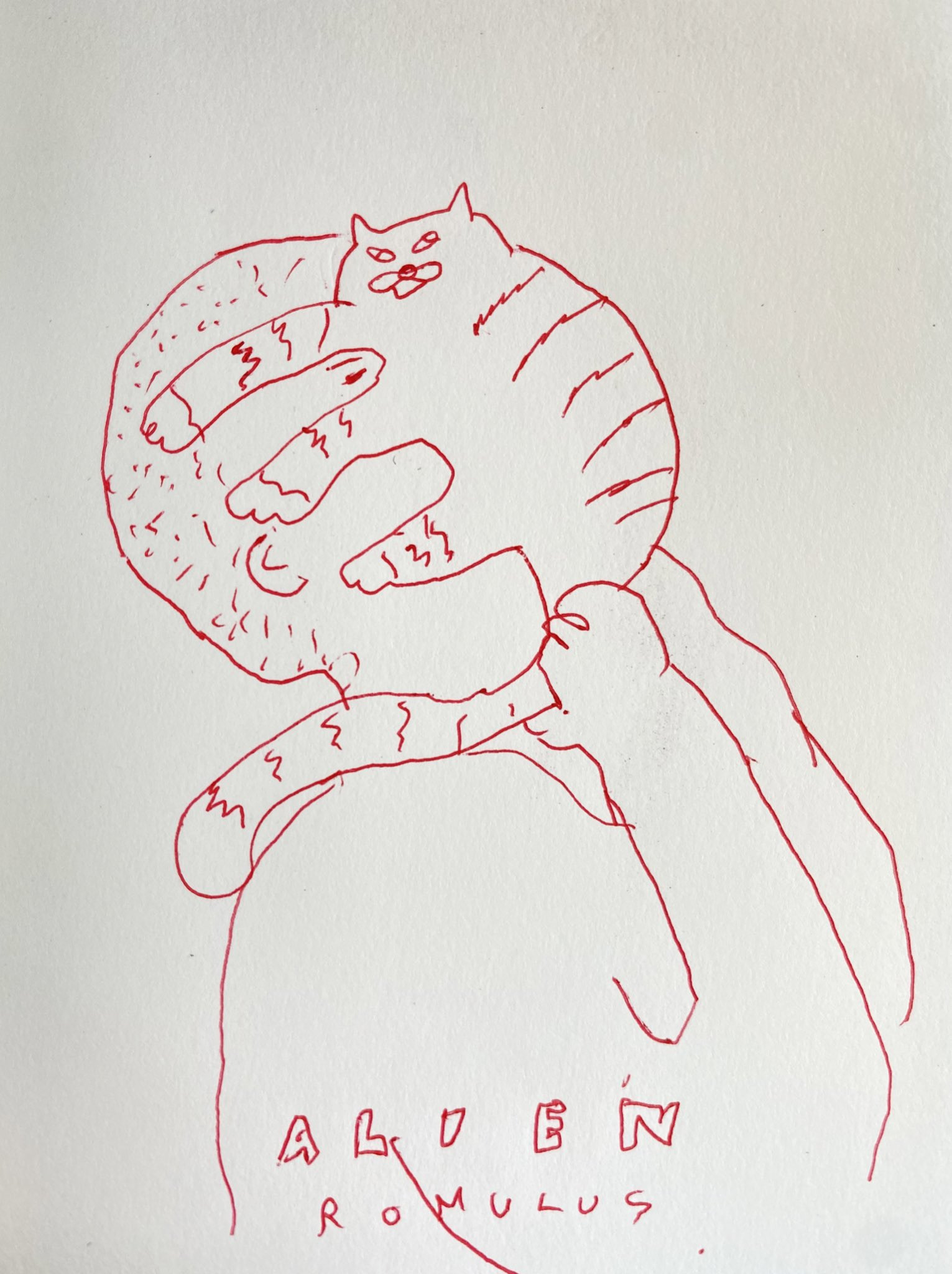 작성자 프로필 이미지