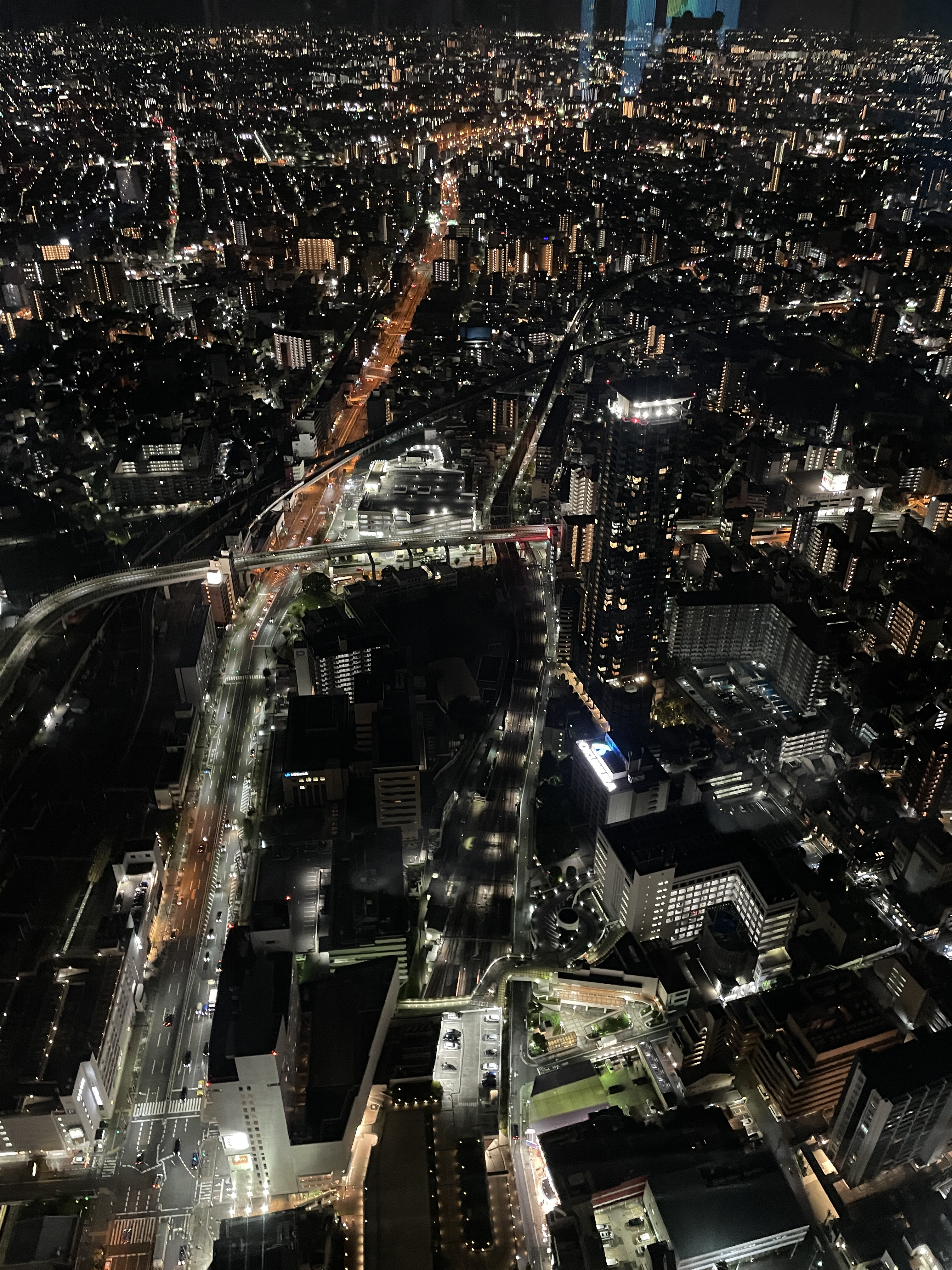 작성자 프로필 이미지