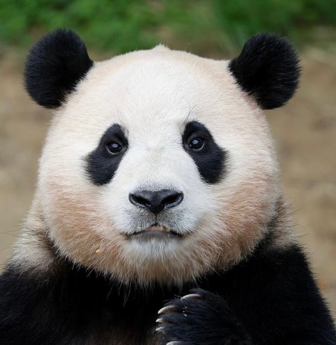 작성자 프로필 이미지