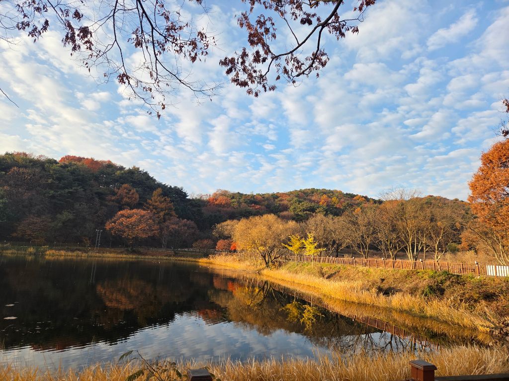 작성자 프로필 이미지
