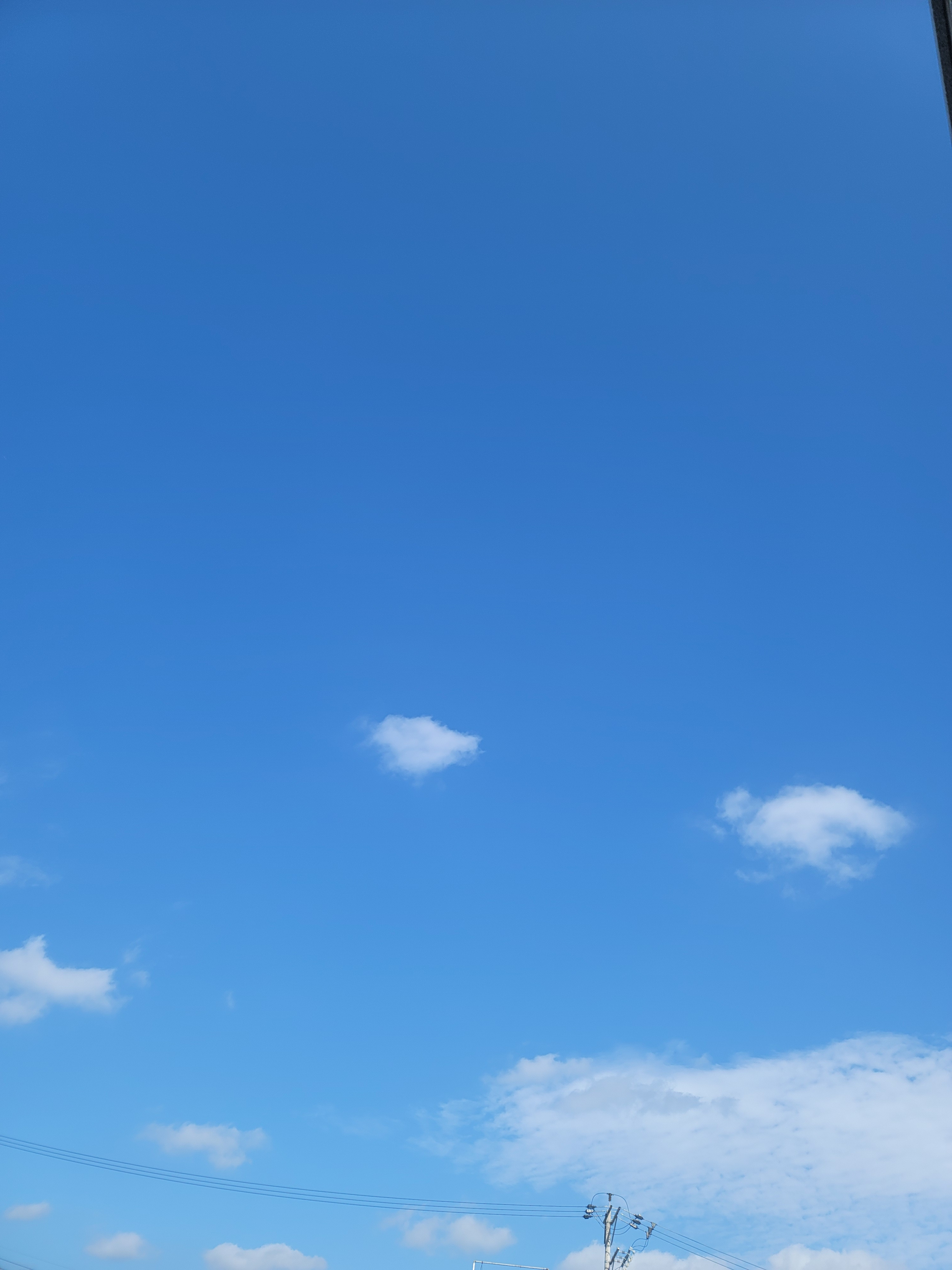 작성자 프로필 이미지