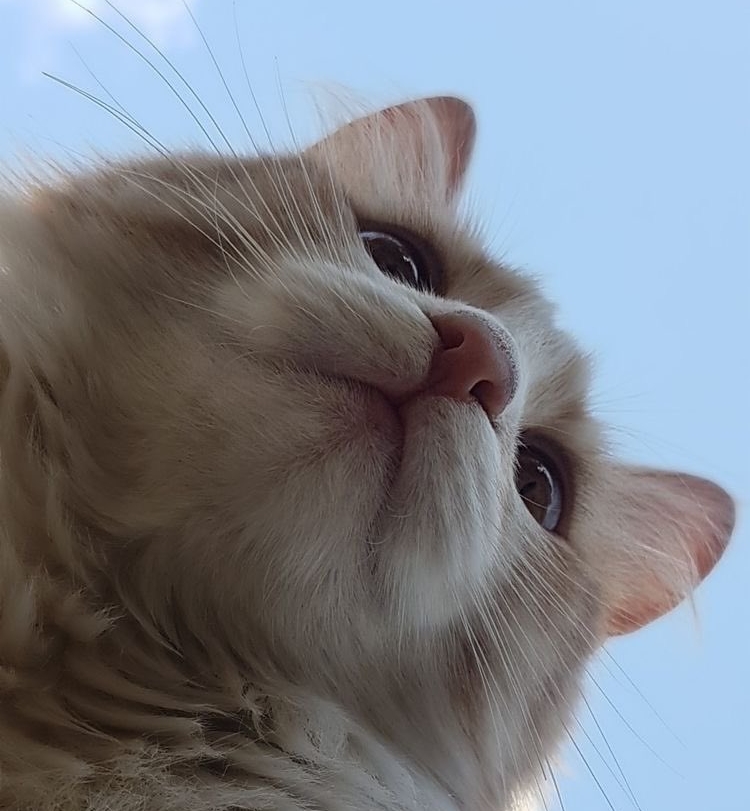 작성자 프로필 이미지