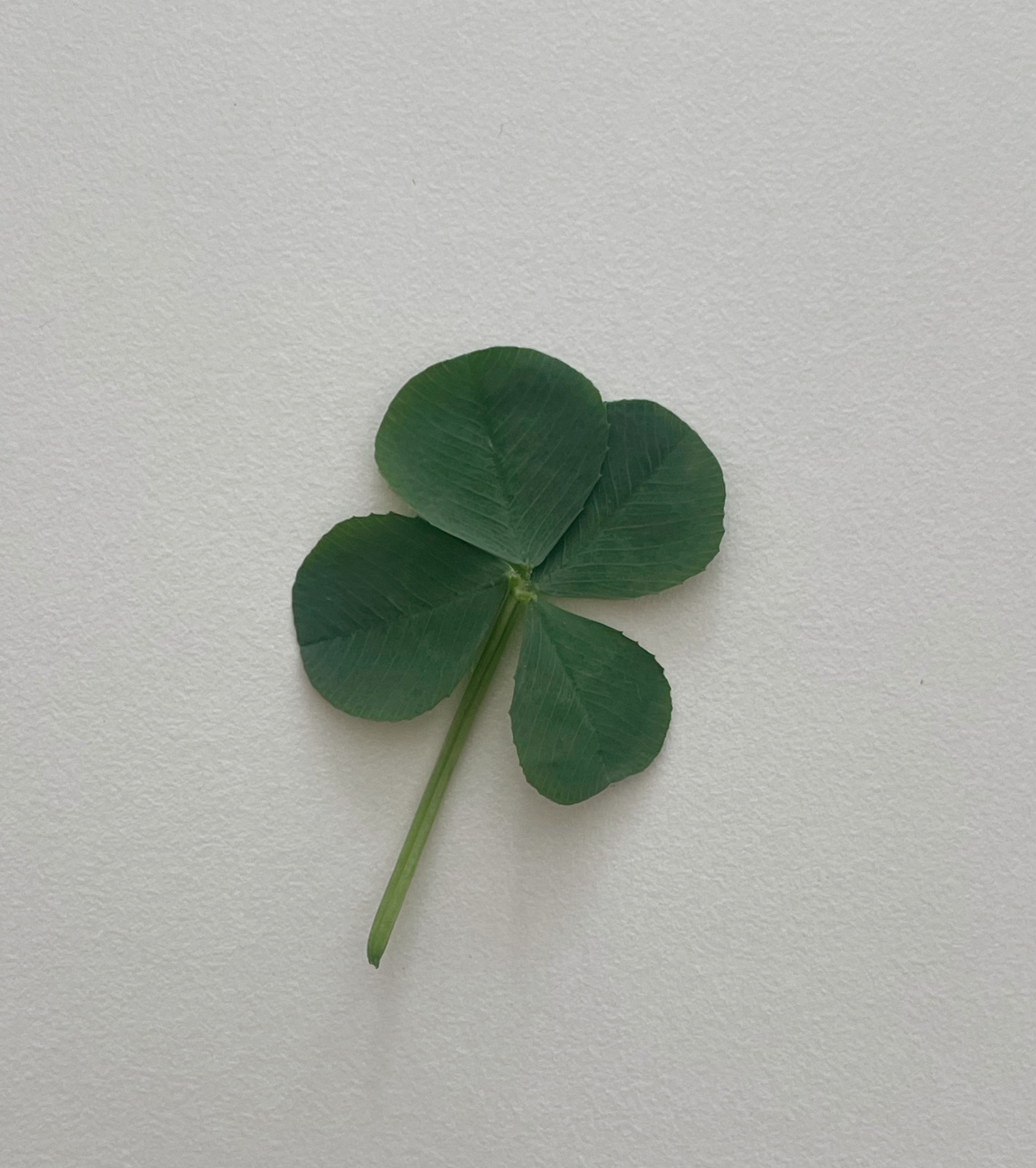 작성자 프로필 이미지