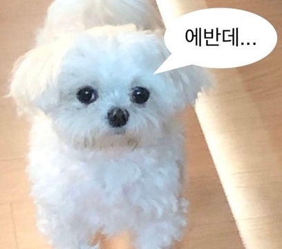 작성자 프로필 이미지