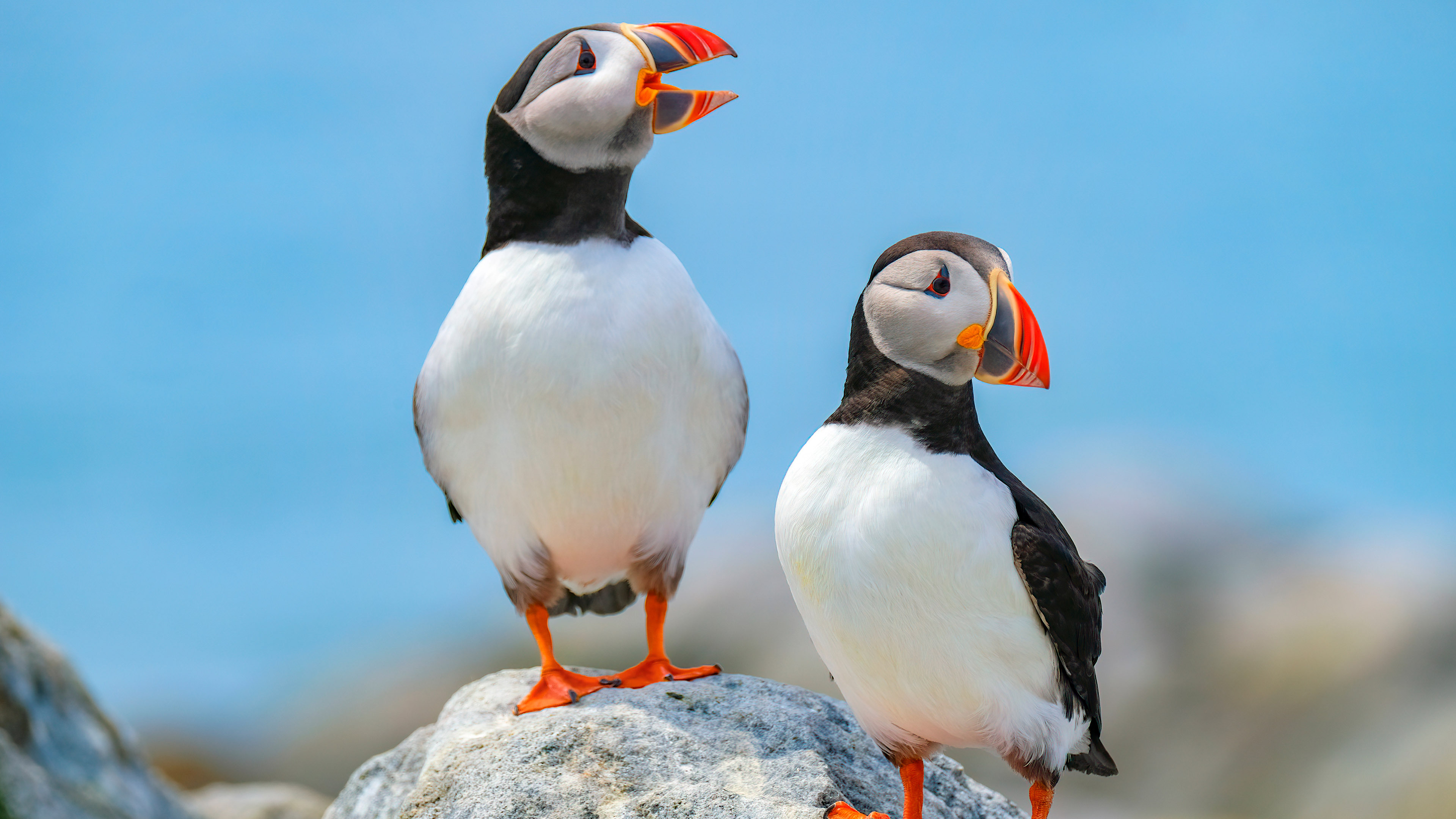 작성자 프로필 이미지