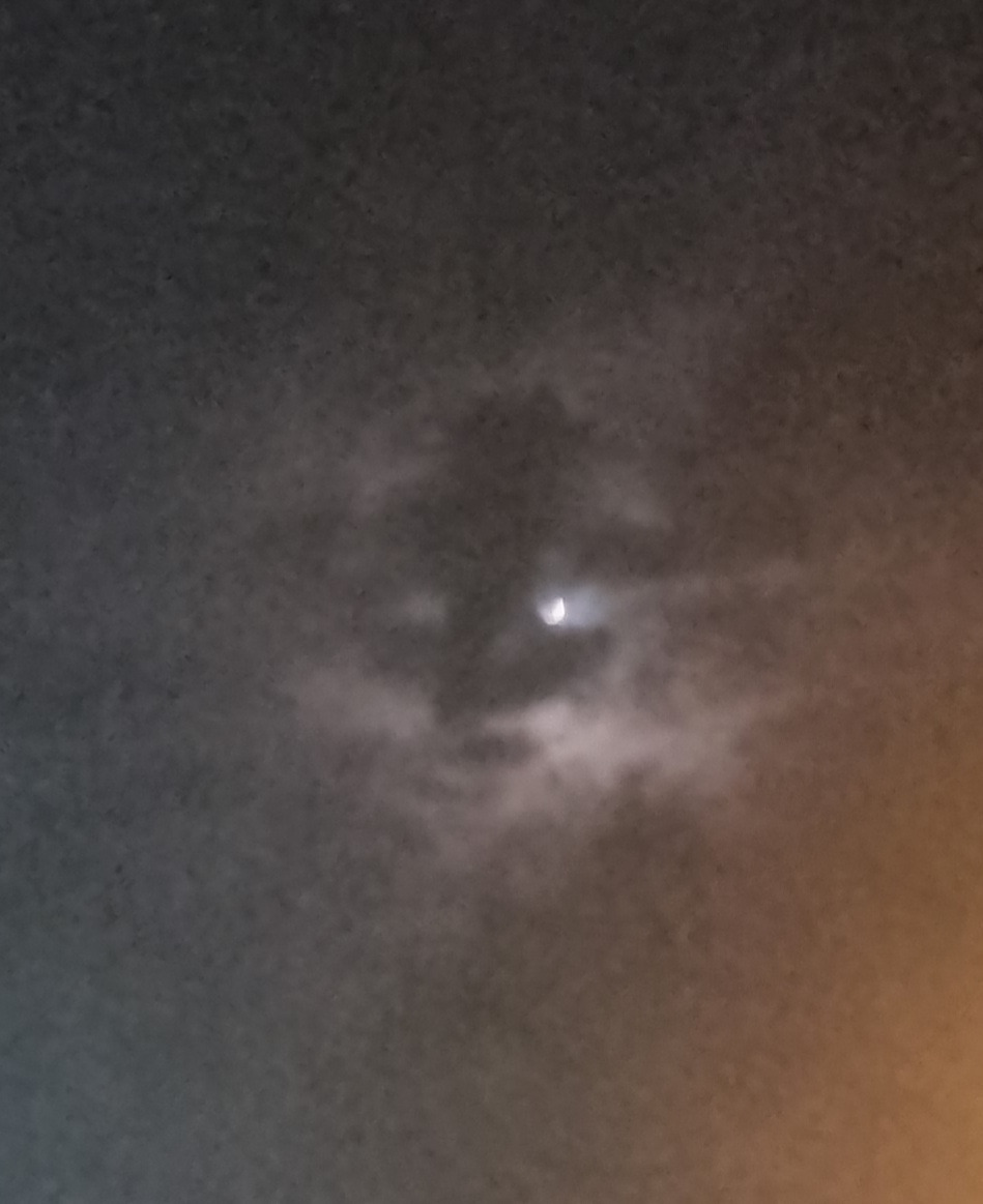 작성자 프로필 이미지