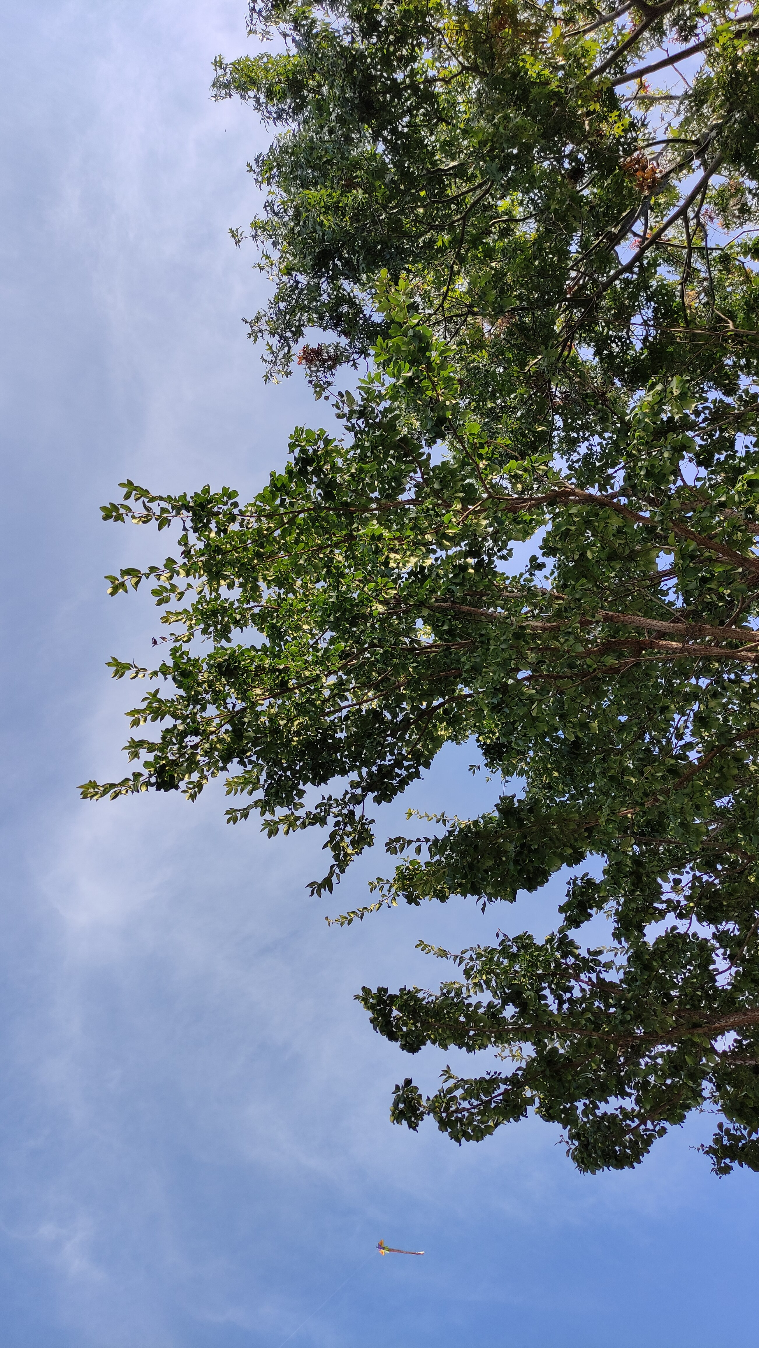 작성자 프로필 이미지