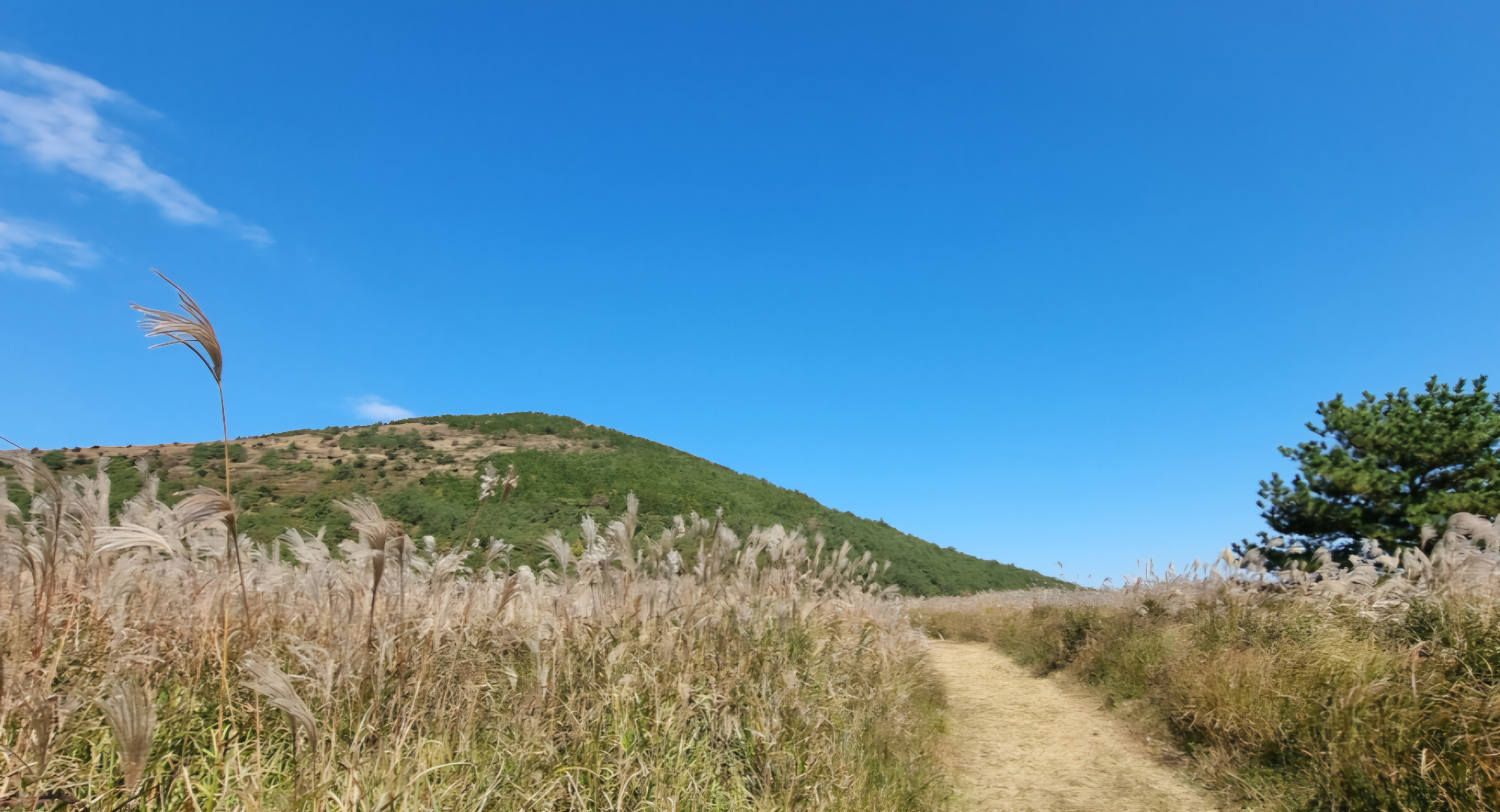 작성자 프로필 이미지