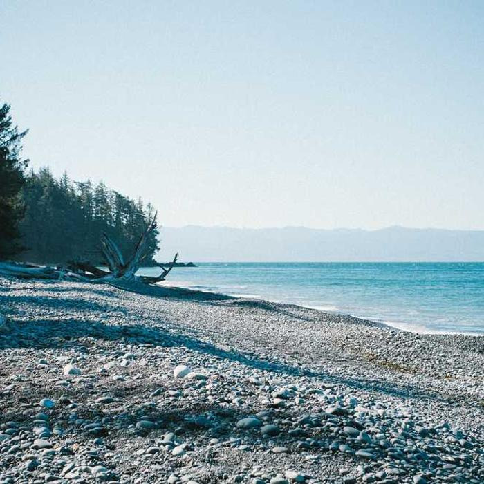 작성자 프로필 이미지