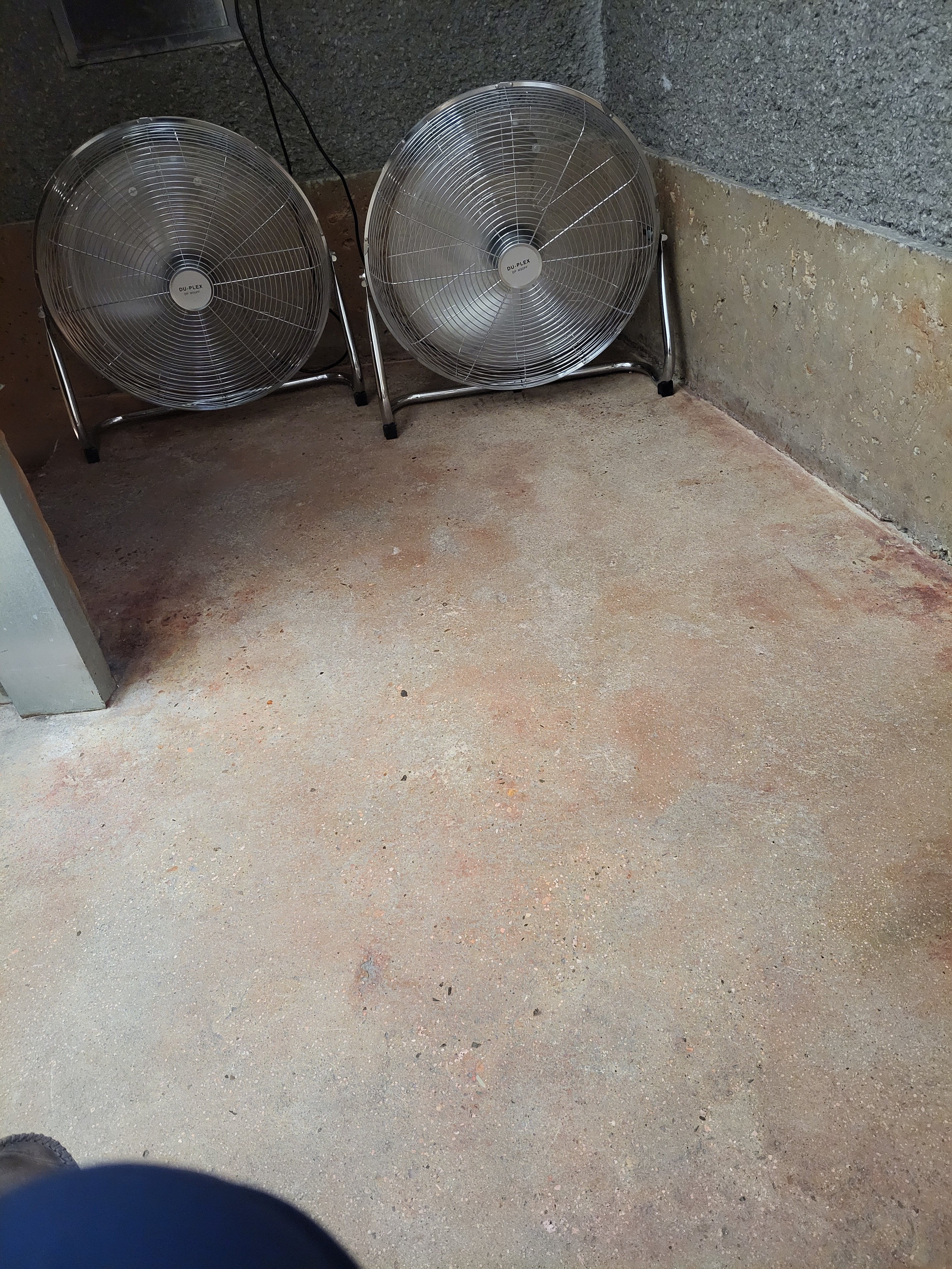 작성자 프로필 이미지